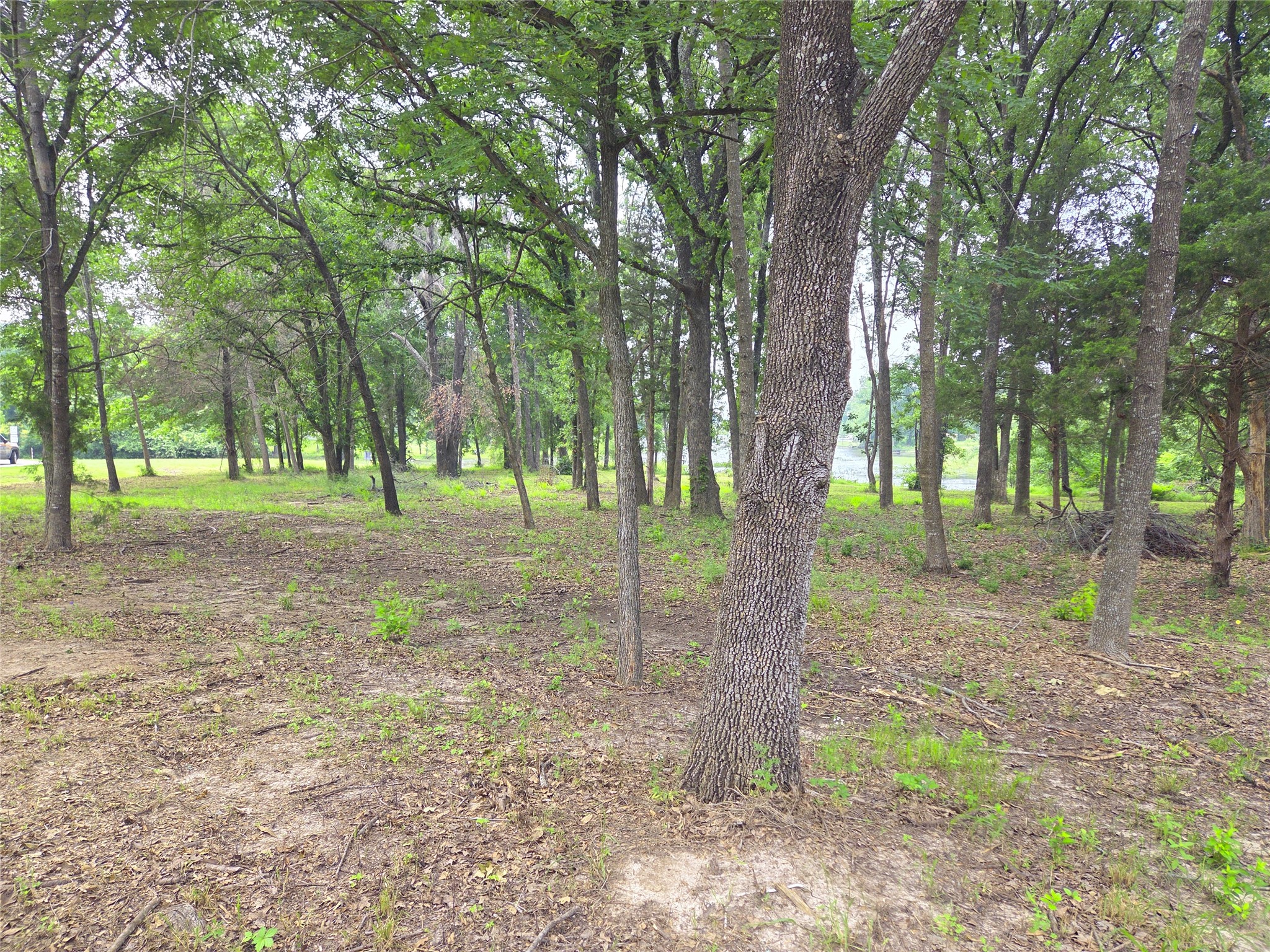 Lot 333 Spur 294 Corsicana TX 75109