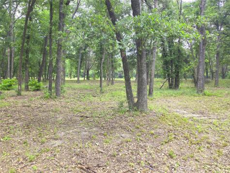 Lot 333 Spur 294 Corsicana TX 75109