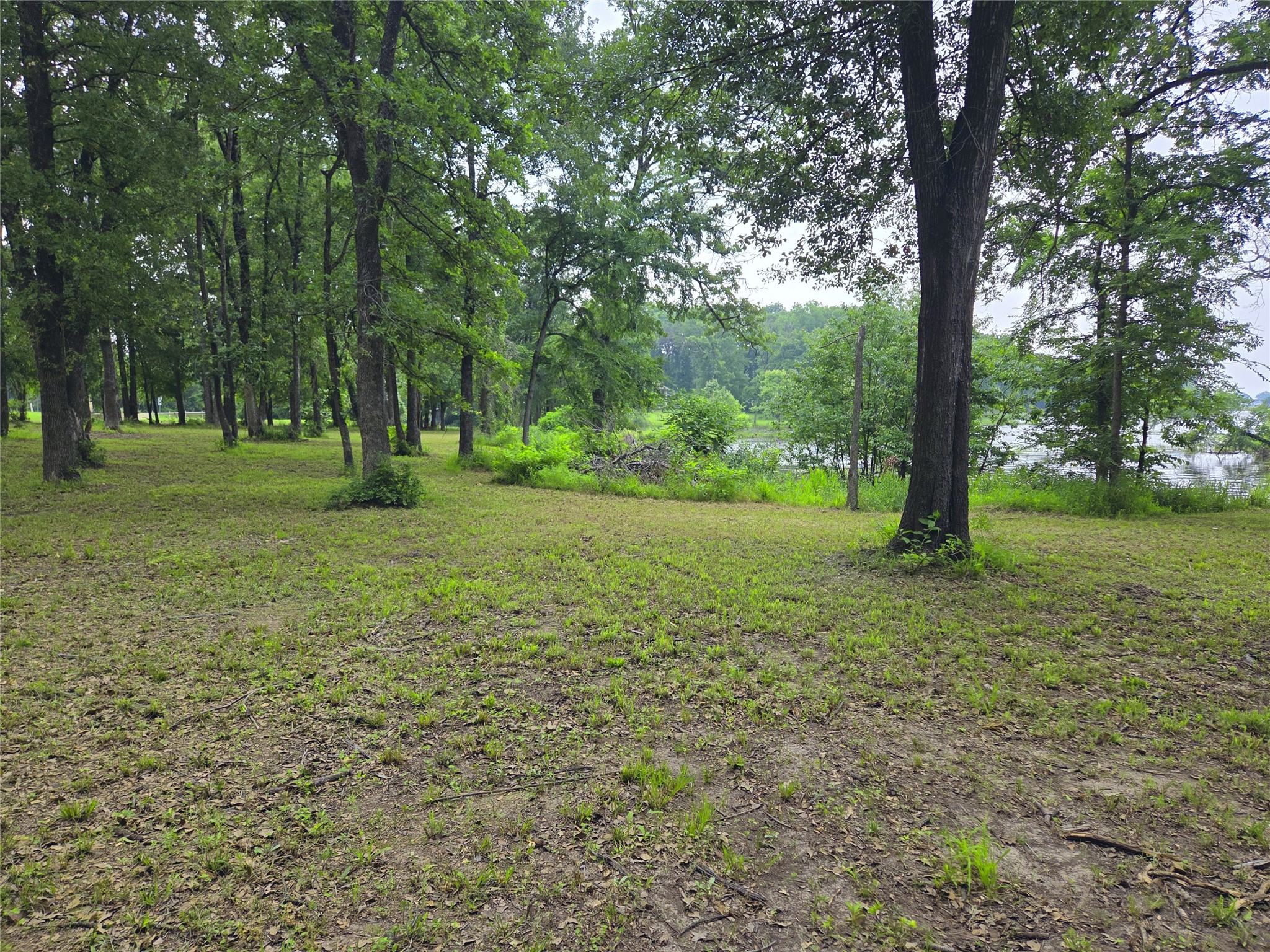 Lot 333 Spur 294 Corsicana TX 75109