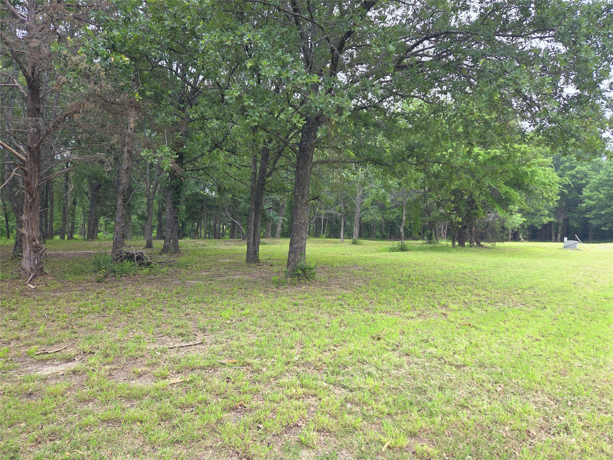 Lot 333 Spur 294 Corsicana TX 75109