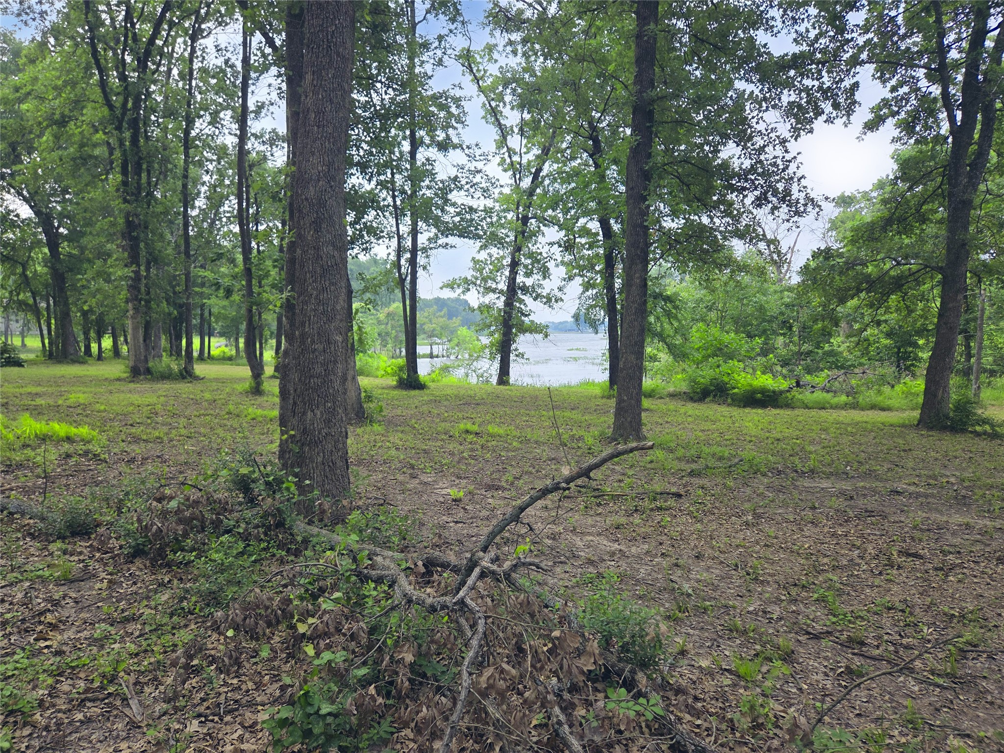 Lot 333 Spur 294 Corsicana TX 75109