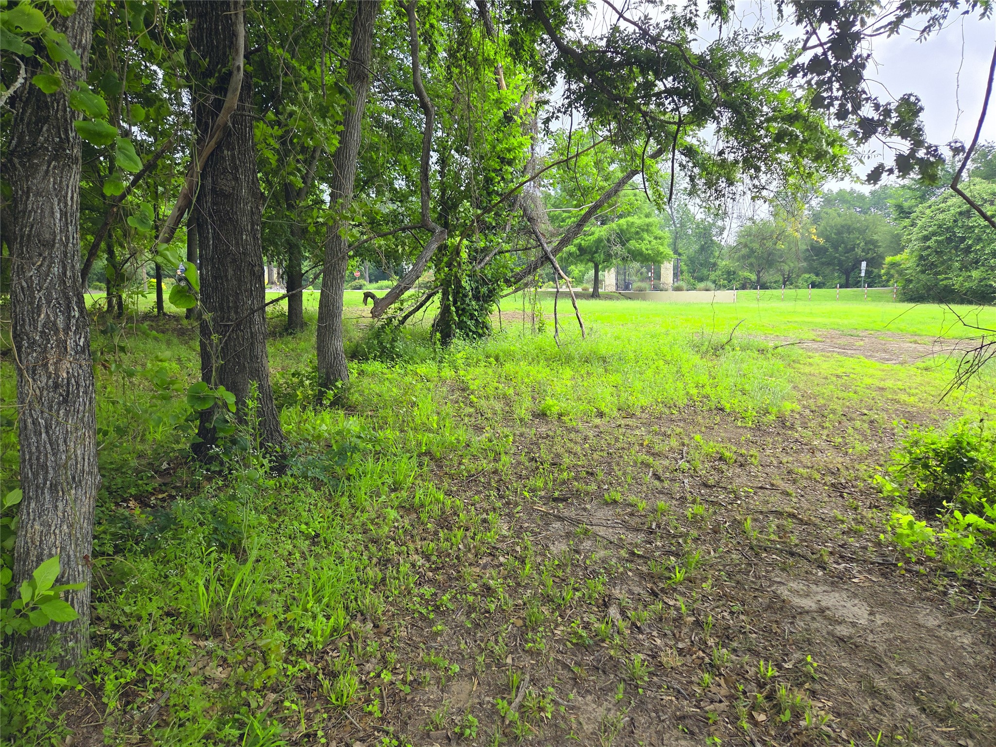 Lot 333 Spur 294 Corsicana TX 75109