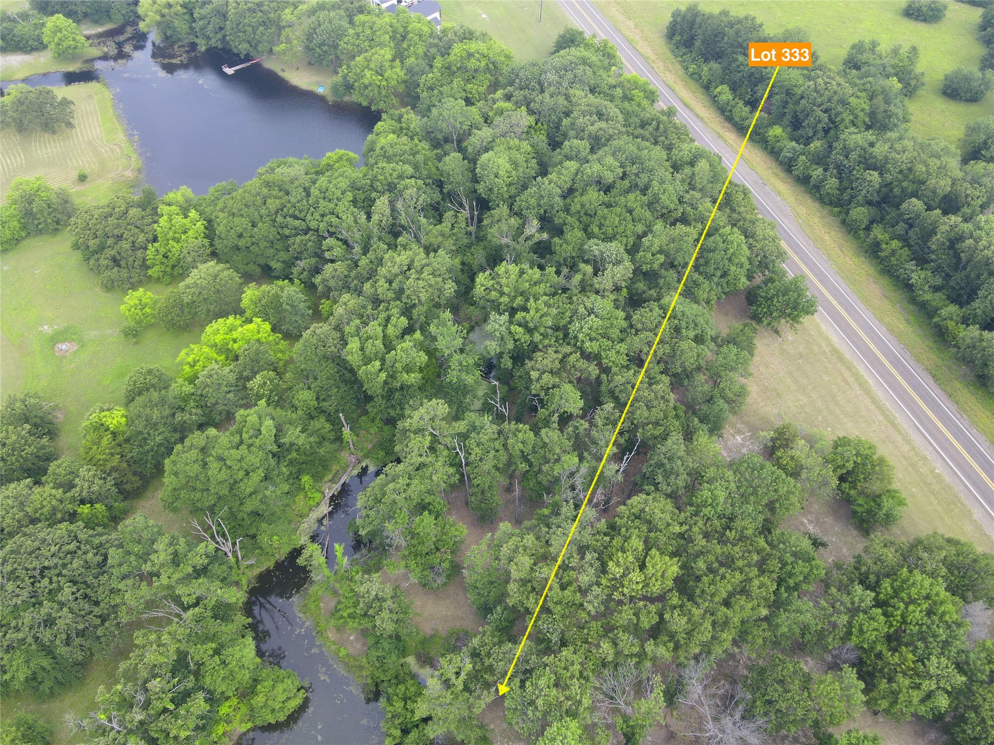 Lot 333 Spur 294 Corsicana TX 75109