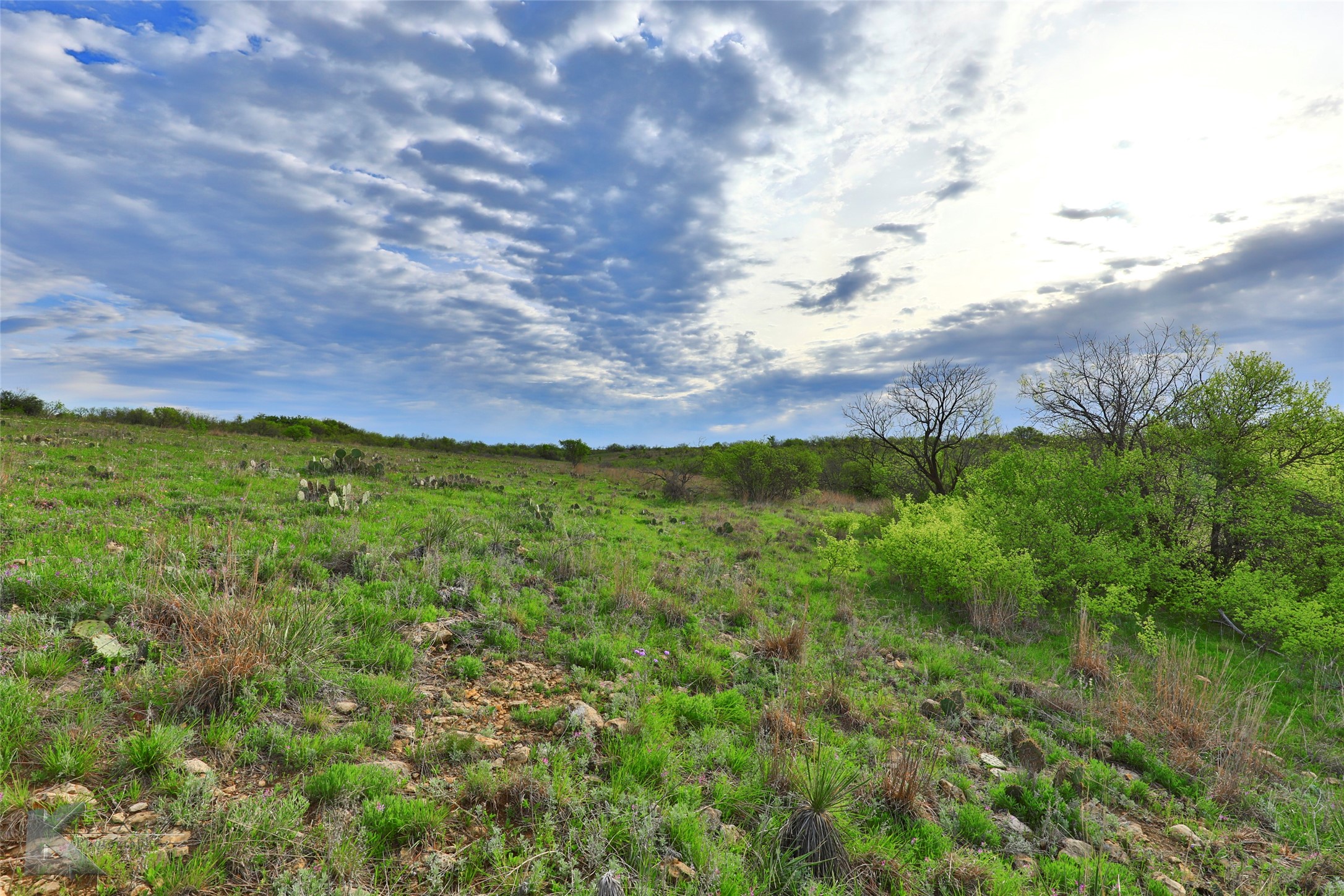Tbd C.r 2.4.7. Oplin TX 79510