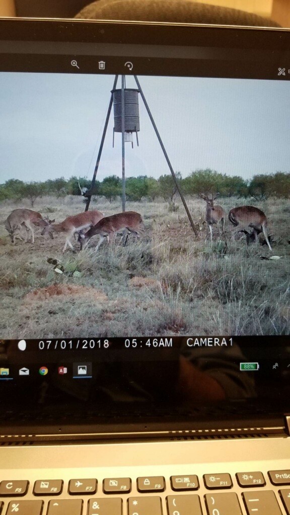Tbd C.r 2.4.7. Oplin TX 79510