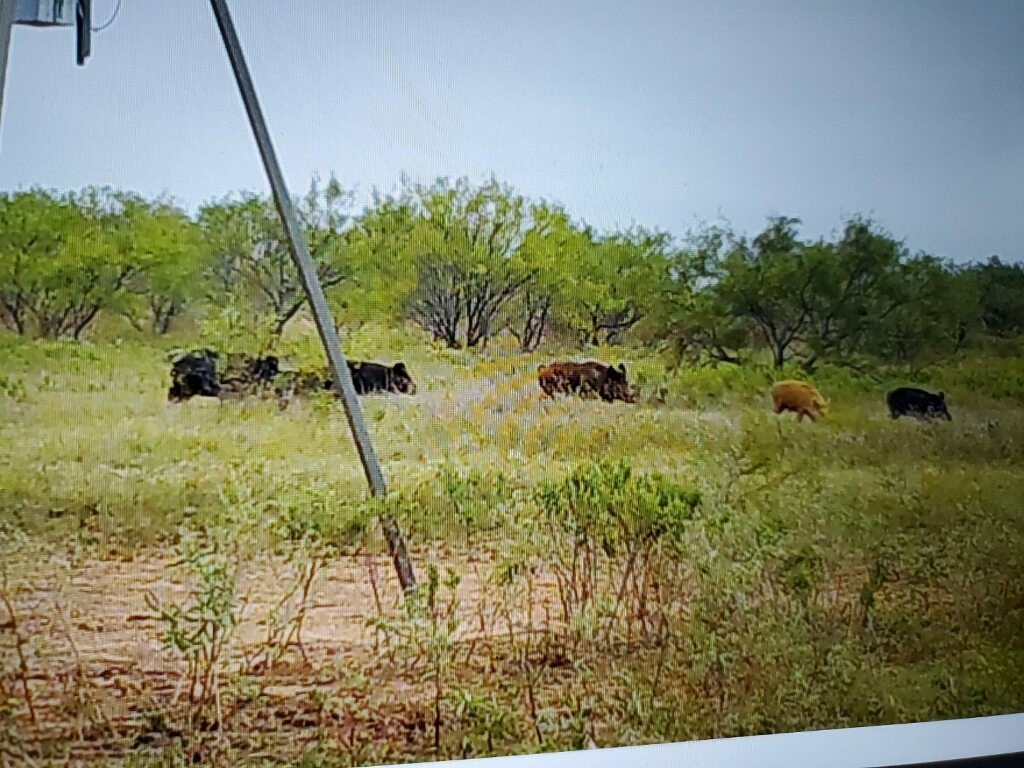 Tbd C.r 2.4.7. Oplin TX 79510