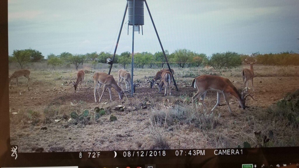 Tbd C.r 2.4.7. Oplin TX 79510