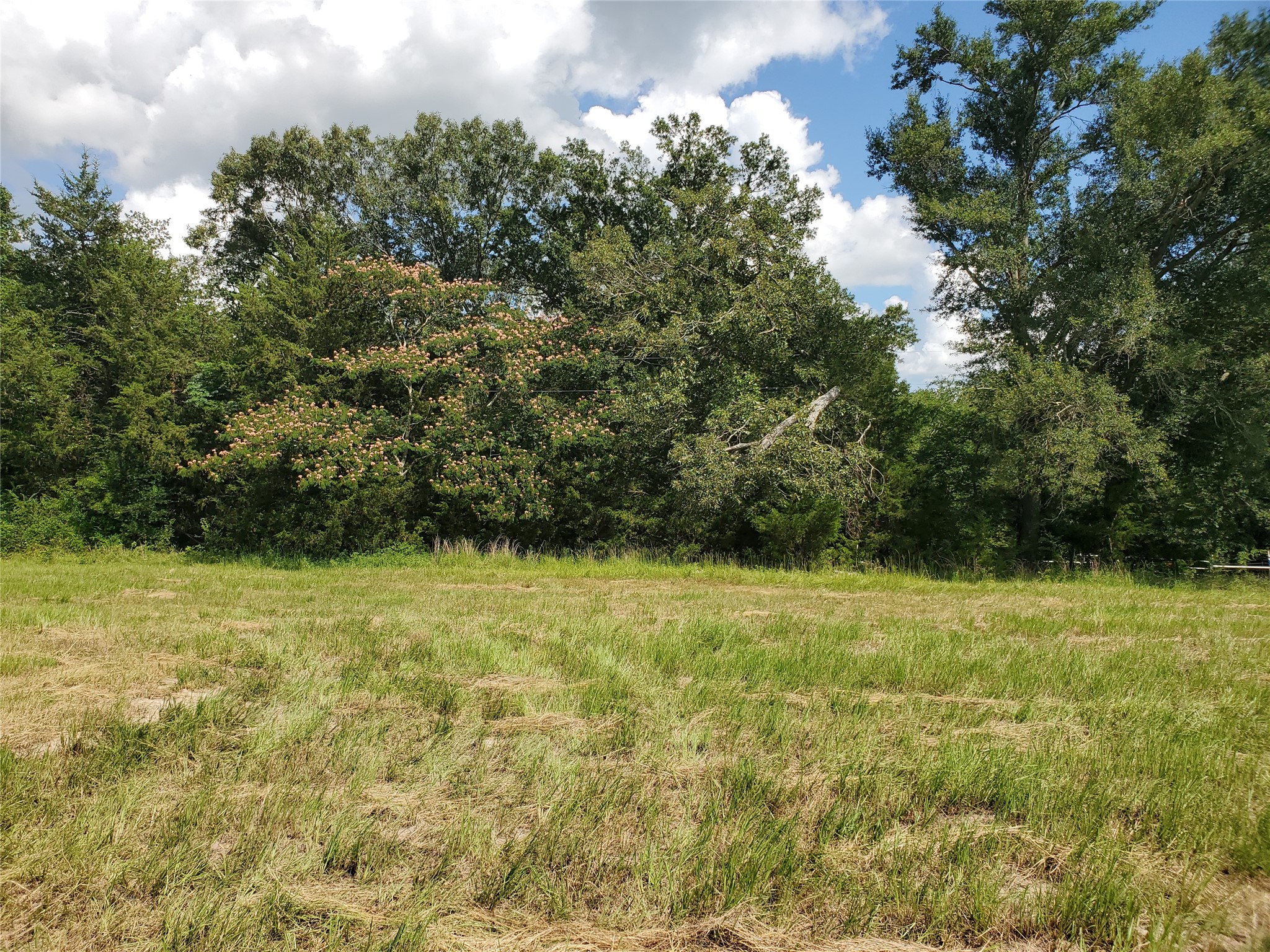 Lot 8 Rs County Road 1140 Emory TX 75440