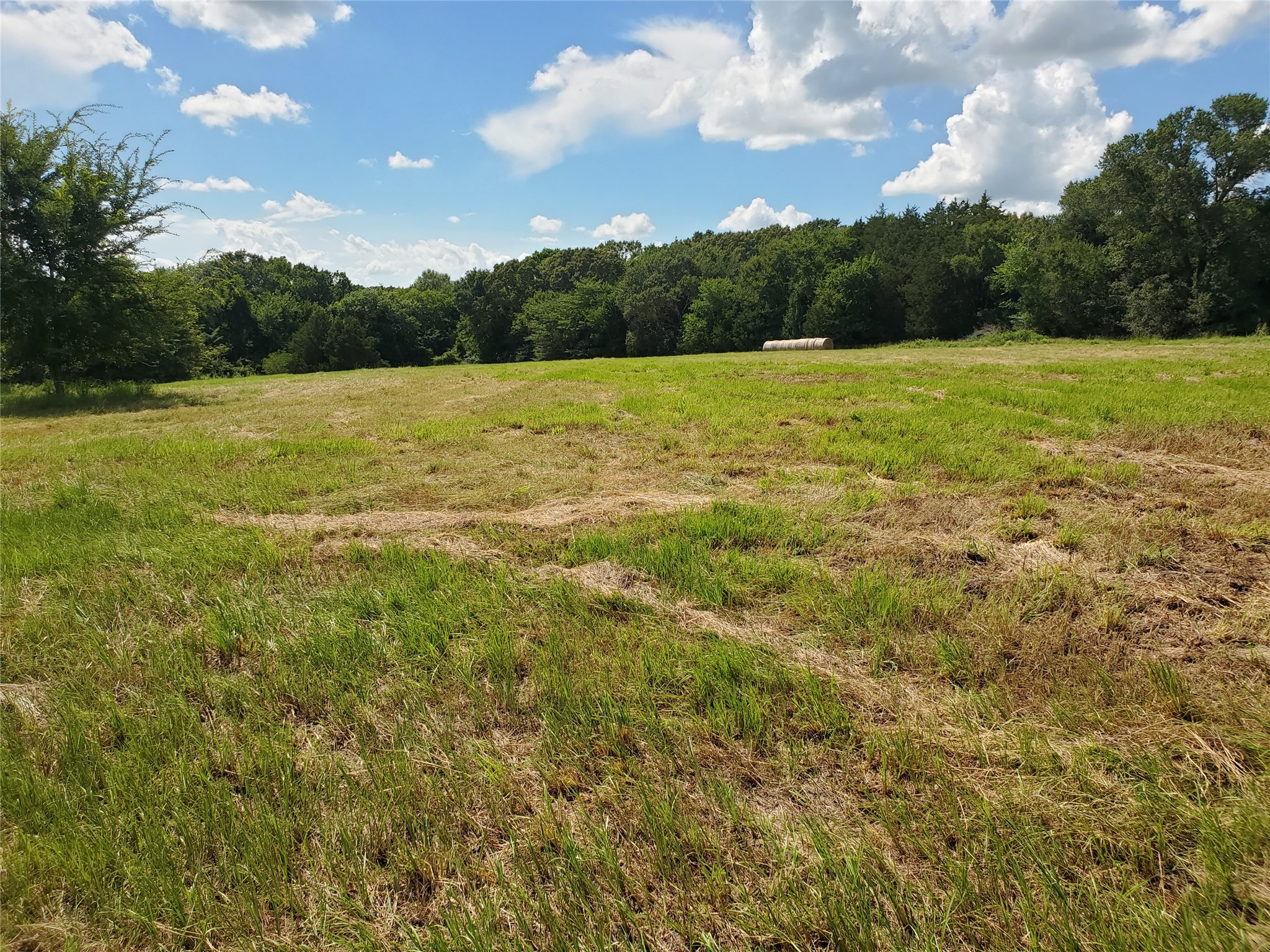 Lot 8 Rs County Road 1140 Emory TX 75440