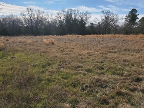 Lot 8 Rs County Road 1140 Emory TX 75440