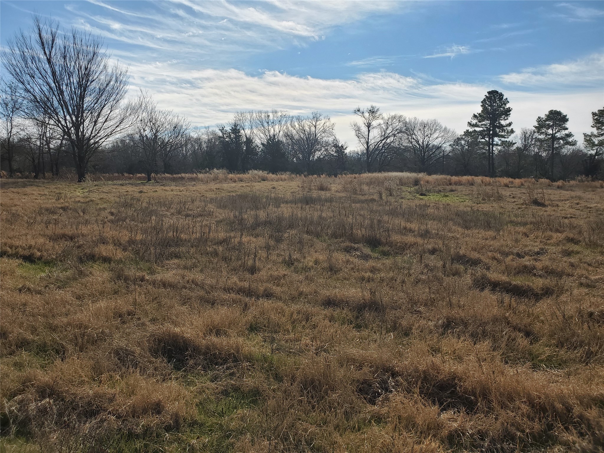 Lot 8 Rs County Road 1140 Emory TX 75440