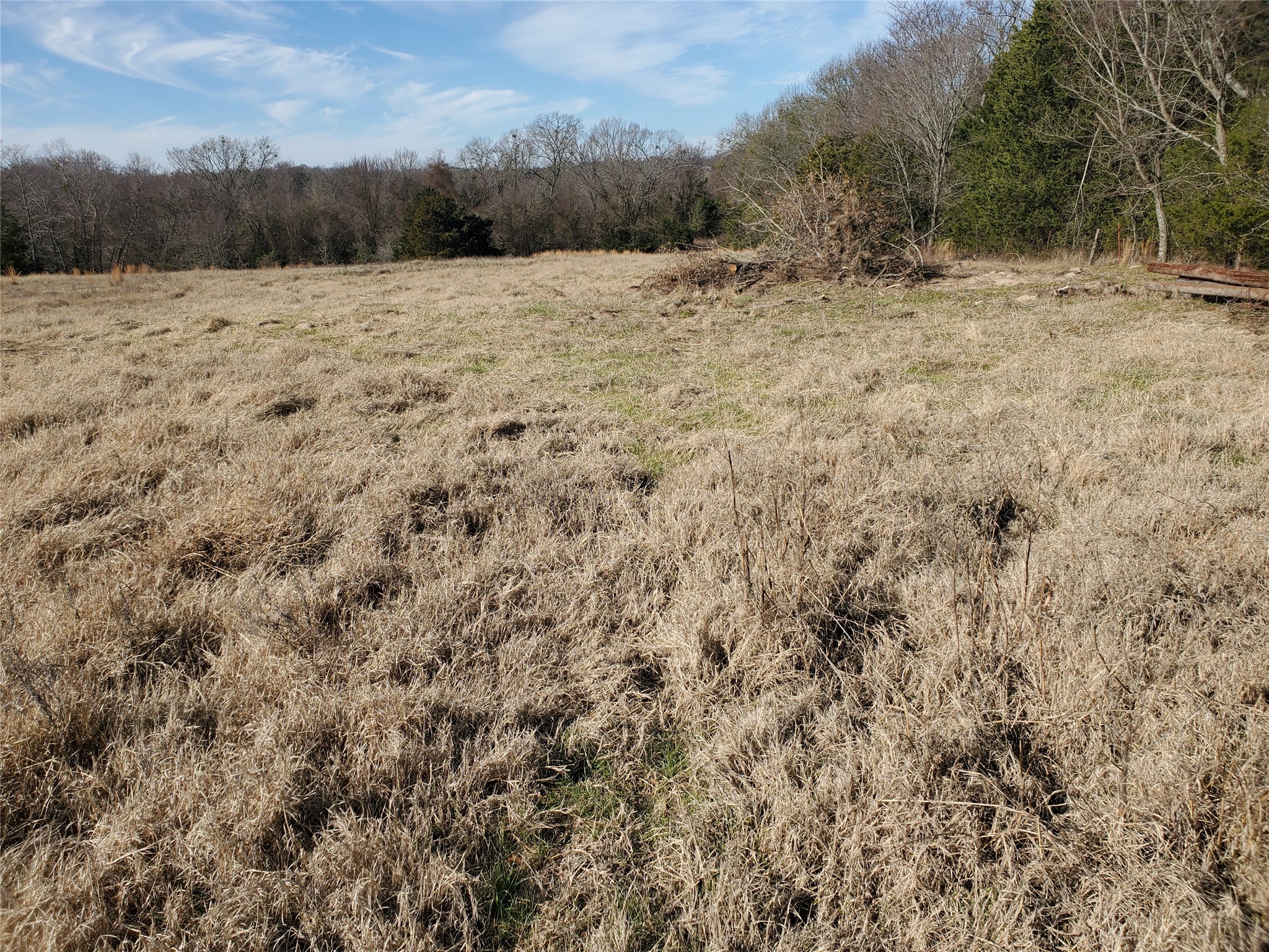 Lot 8 Rs County Road 1140 Emory TX 75440