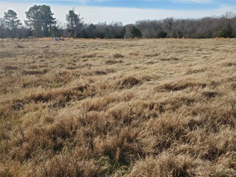 Lot 8 Rs County Road 1140 Emory TX 75440