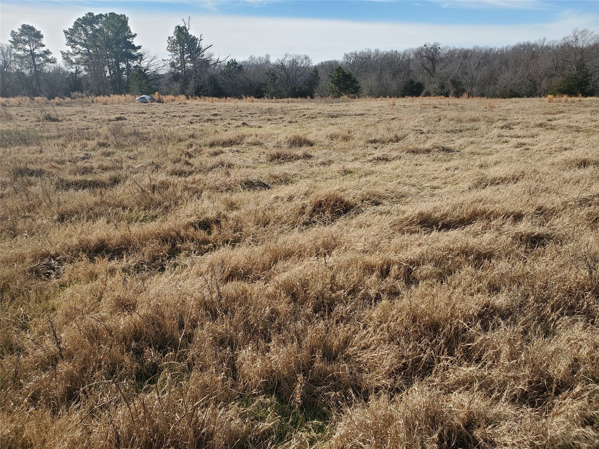 Lot 8 Rs County Road 1140 Emory TX 75440