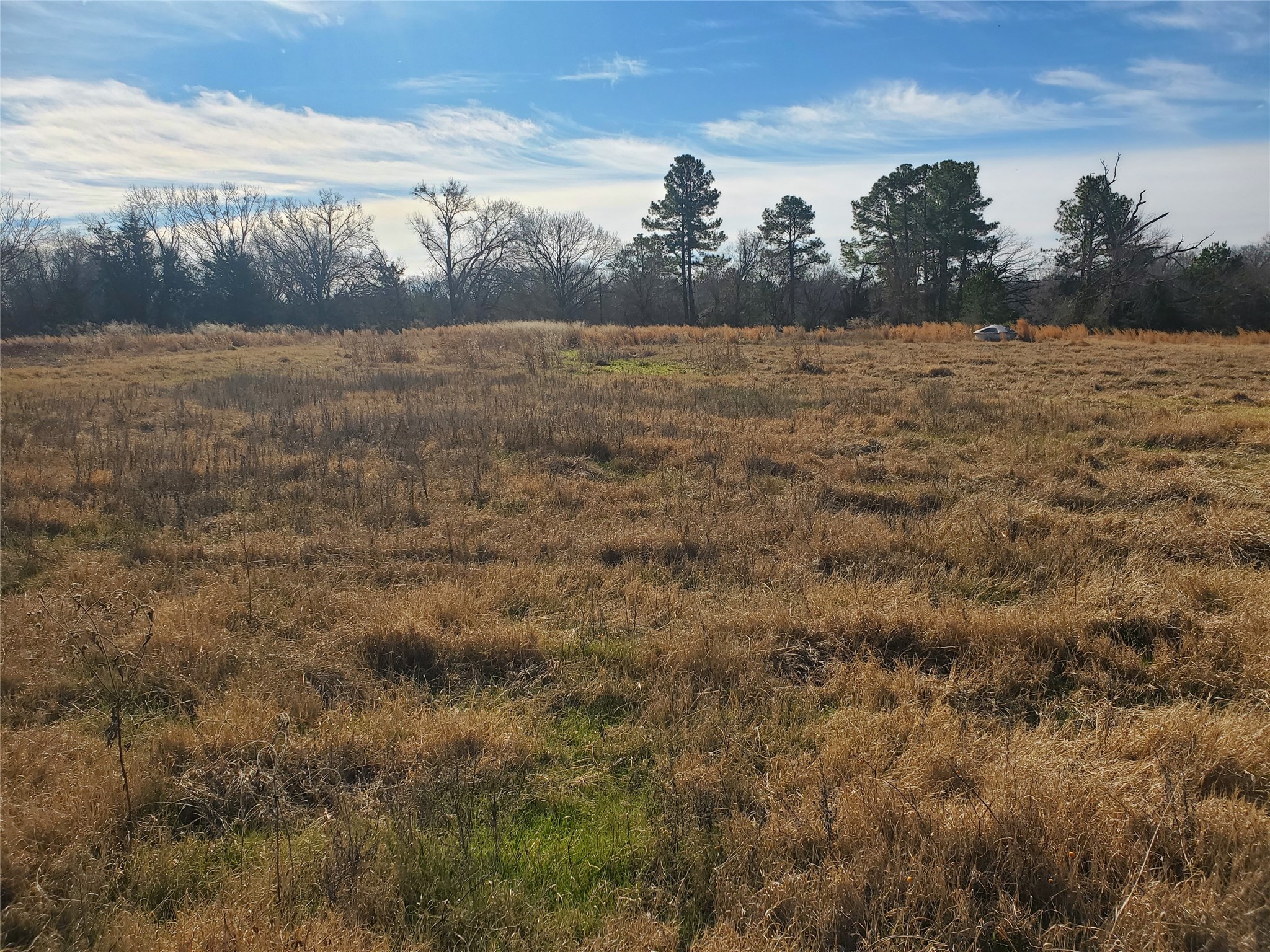 Lot 8 Rs County Road 1140 Emory TX 75440