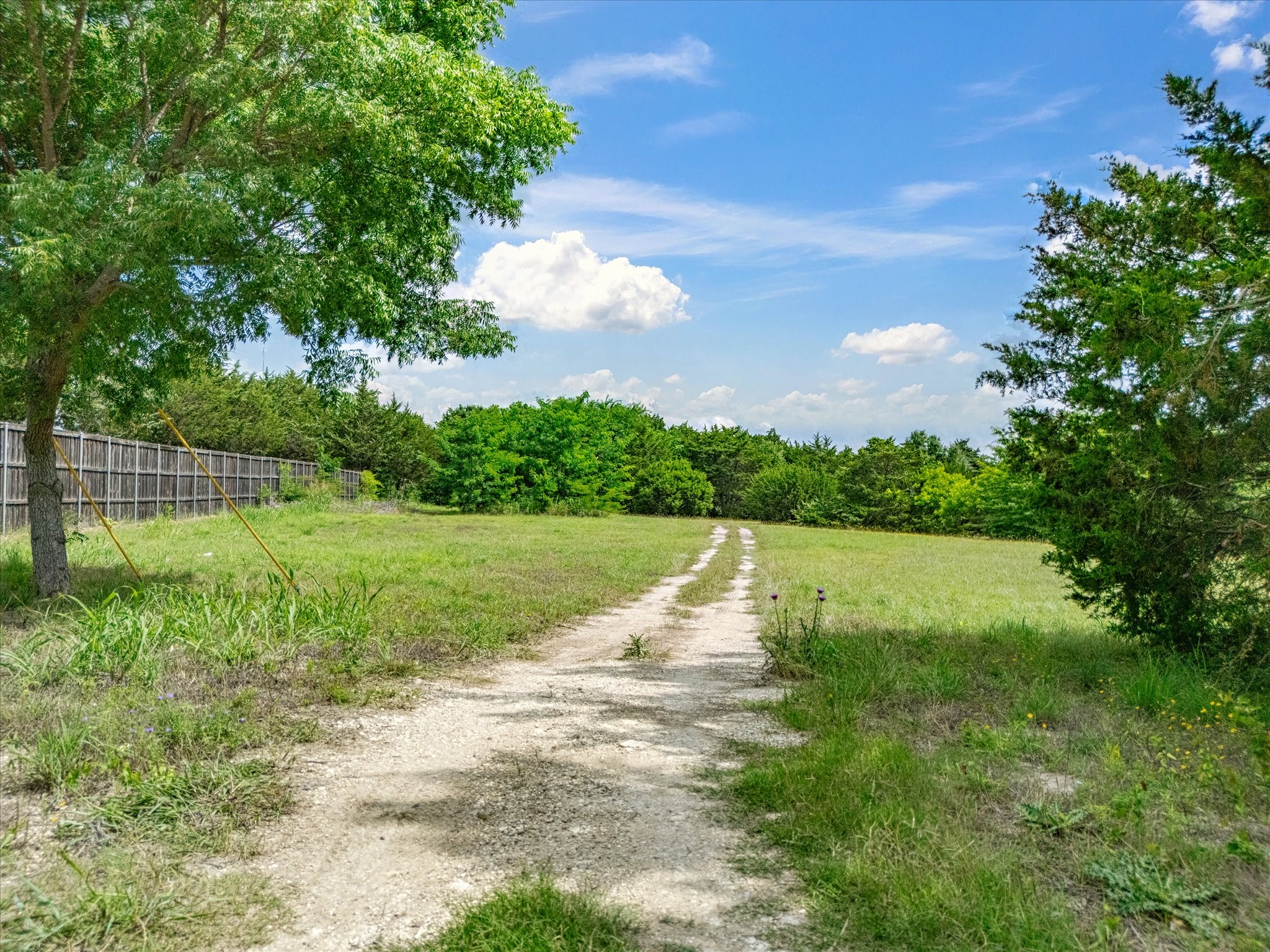 2910 American Sparrow Drive Midlothian TX 76065