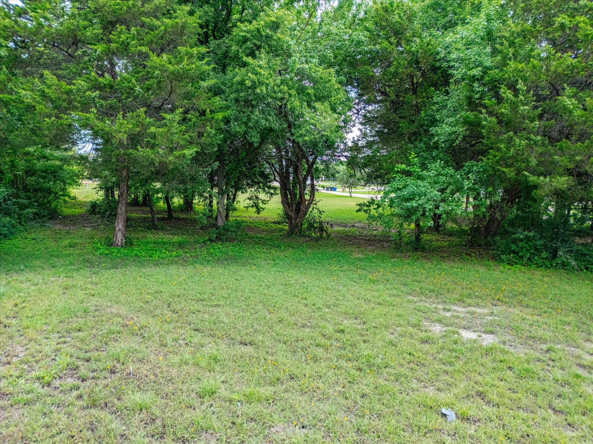 2910 American Sparrow Drive Midlothian TX 76065