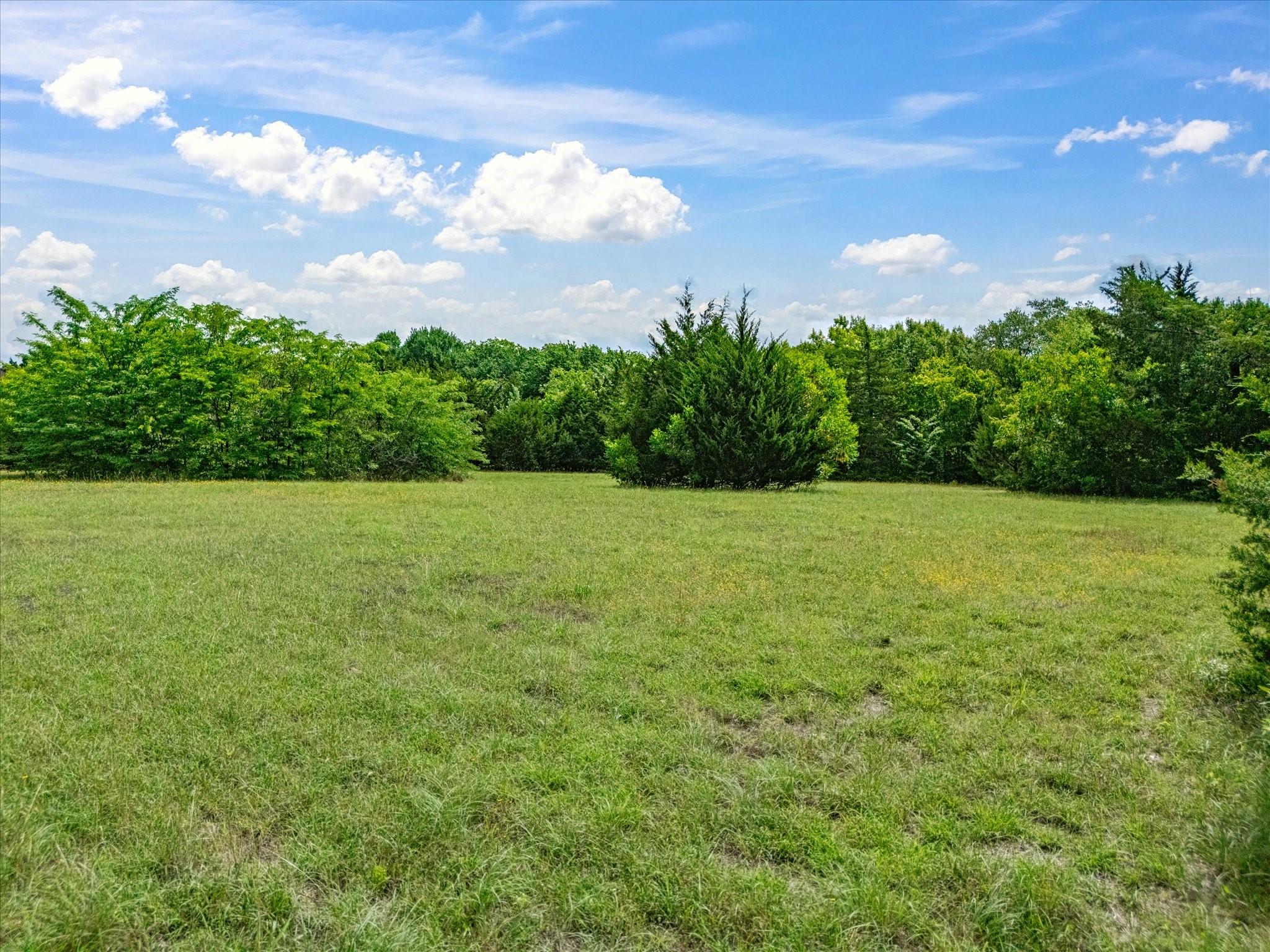 2910 American Sparrow Drive Midlothian TX 76065
