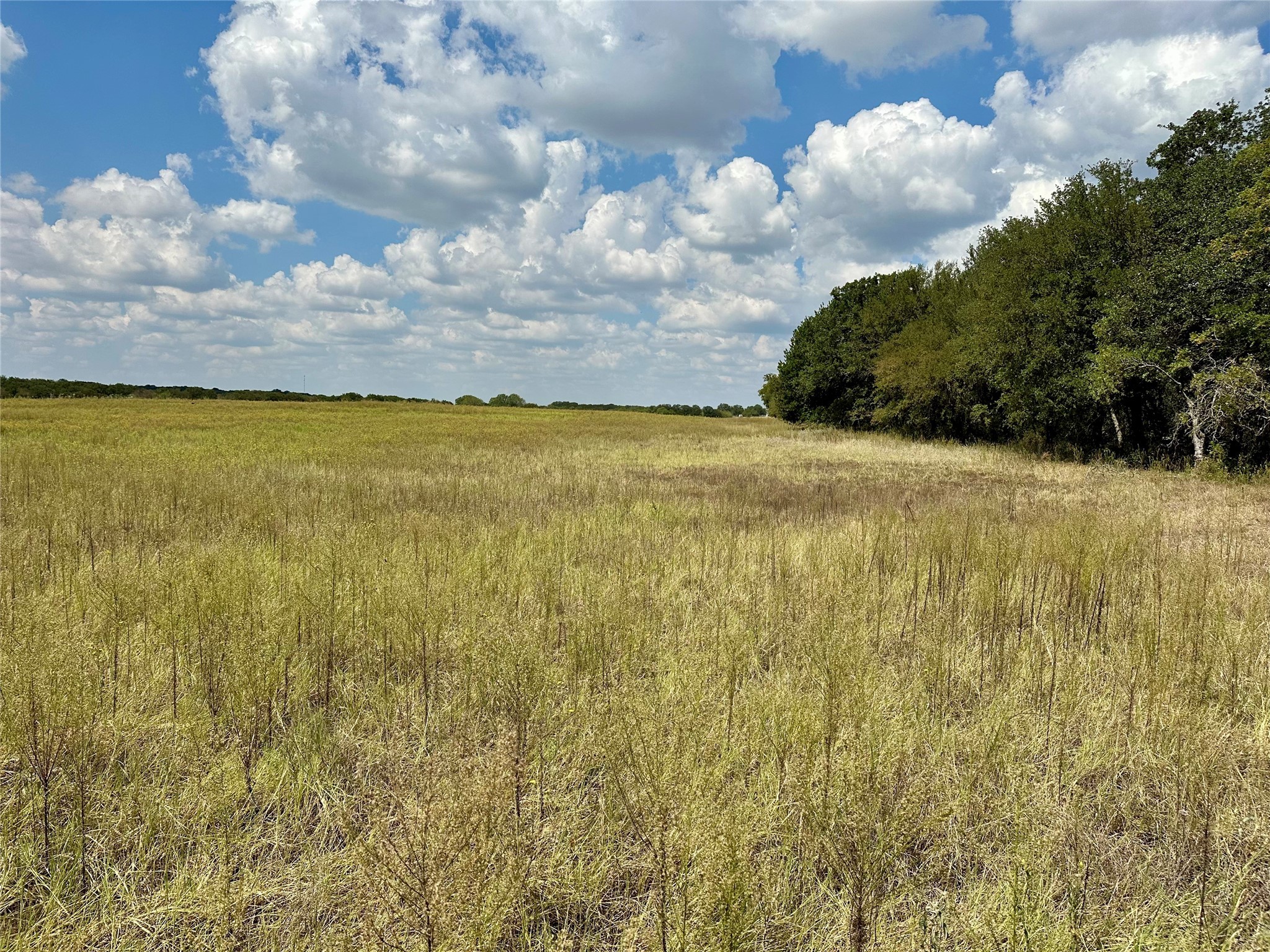 Tbd Cr 323 Hasse TX 76442