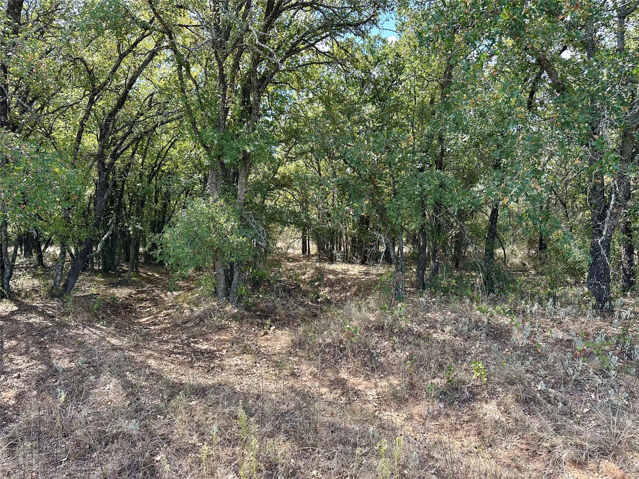 Tbd Cr 323 Hasse TX 76442