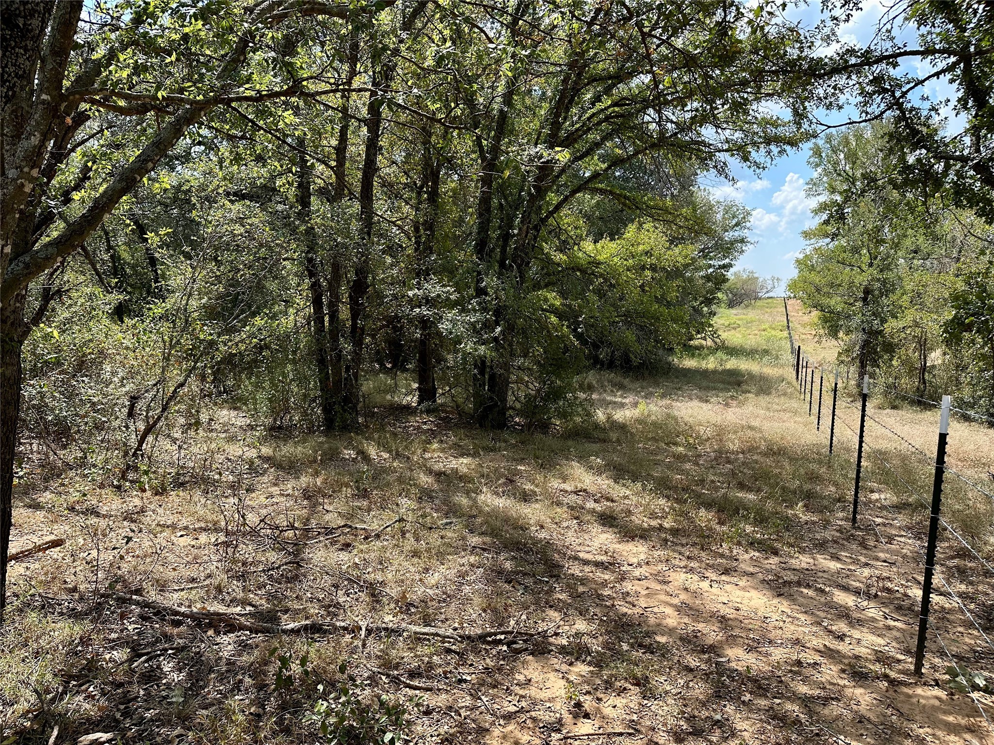 Tbd Cr 323 Hasse TX 76442