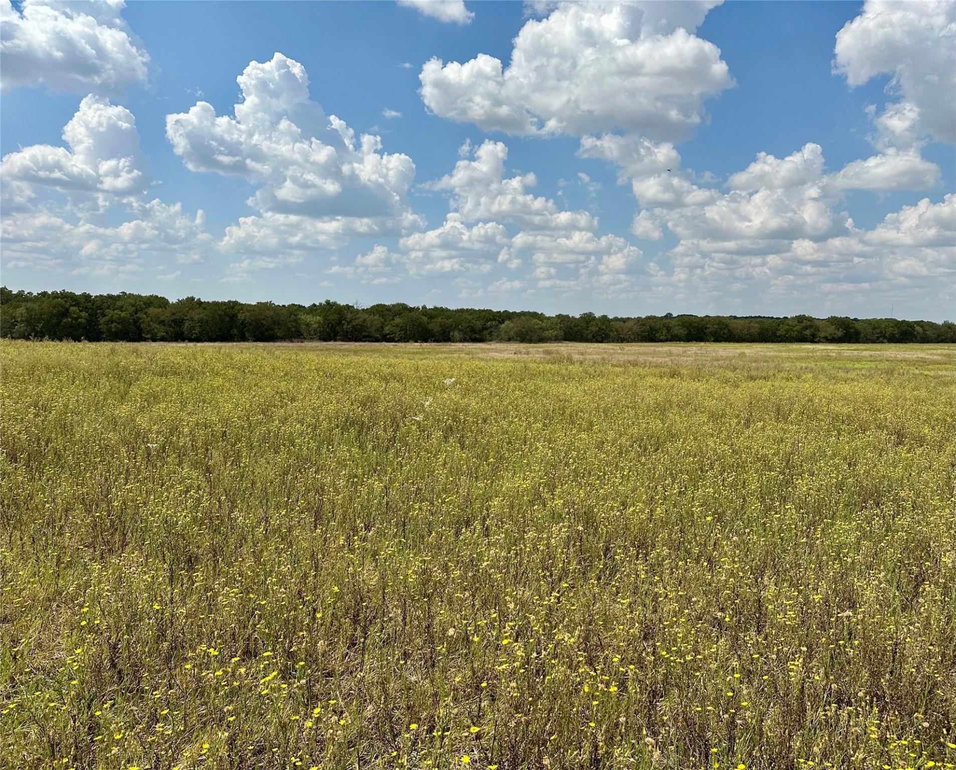Tbd Cr 323 Hasse TX 76442