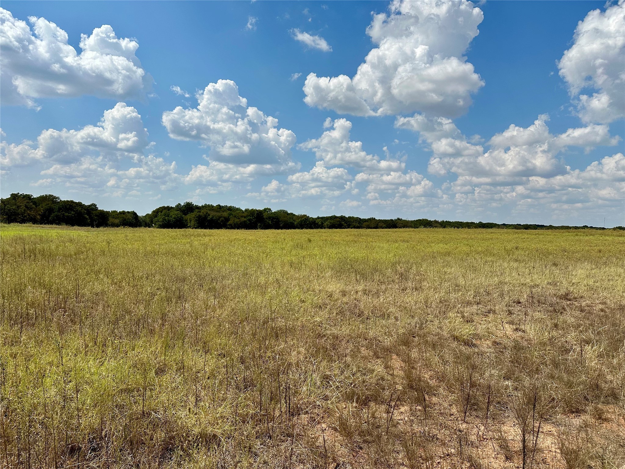 Tbd Cr 323 Hasse TX 76442