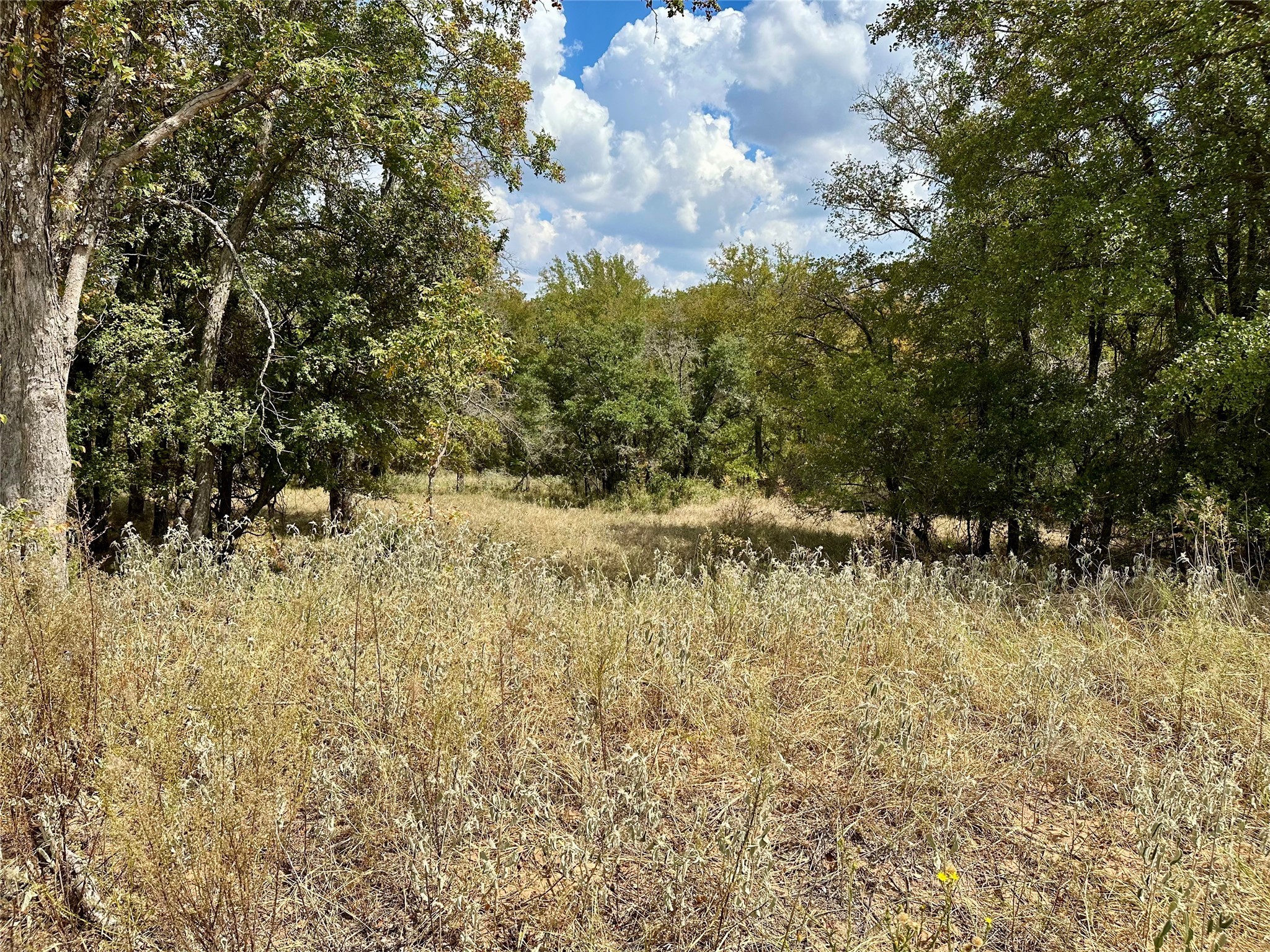 Tbd Cr 323 Hasse TX 76442
