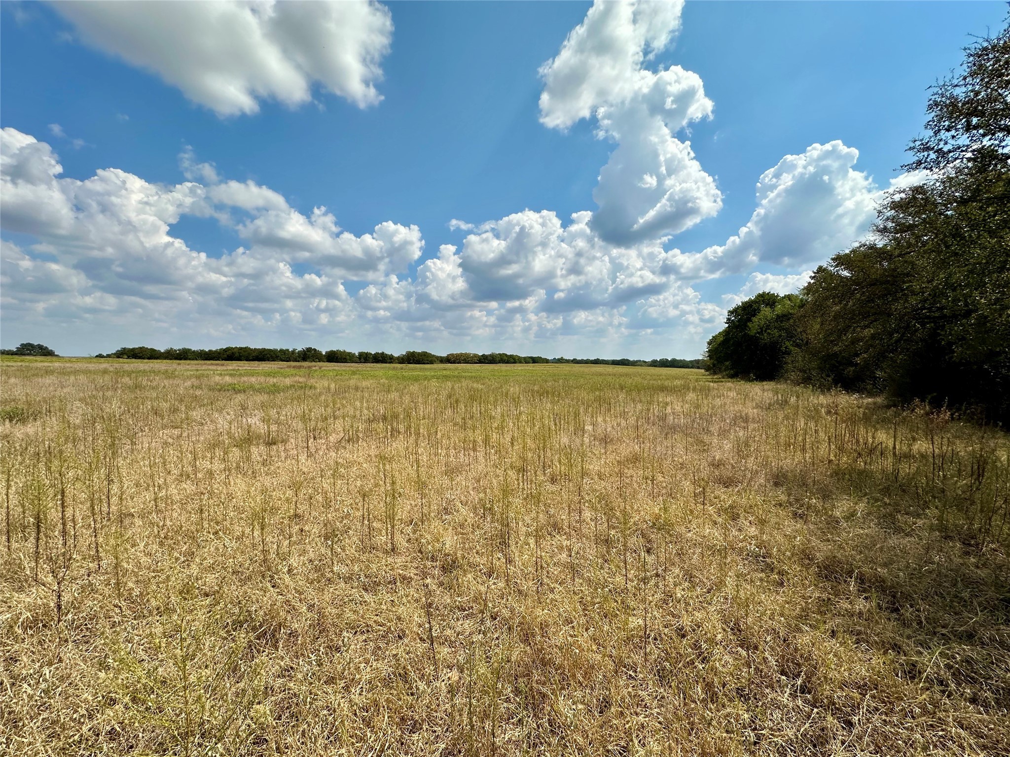Tbd Cr 323 Hasse TX 76442
