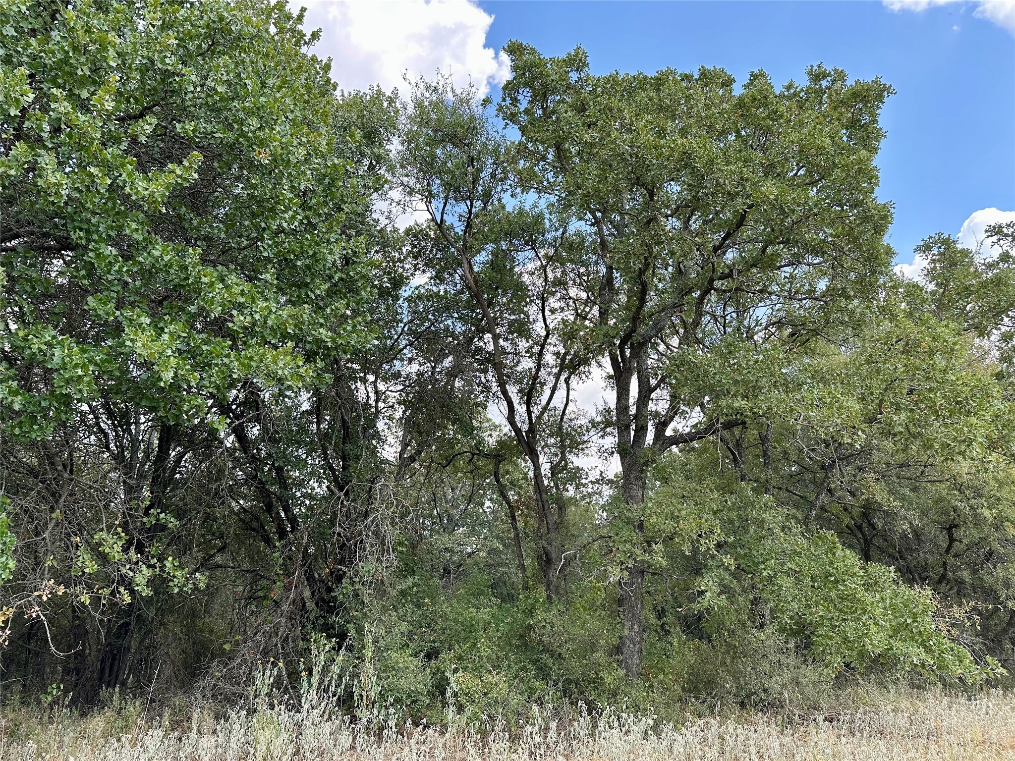 Tbd Cr 323 Hasse TX 76442