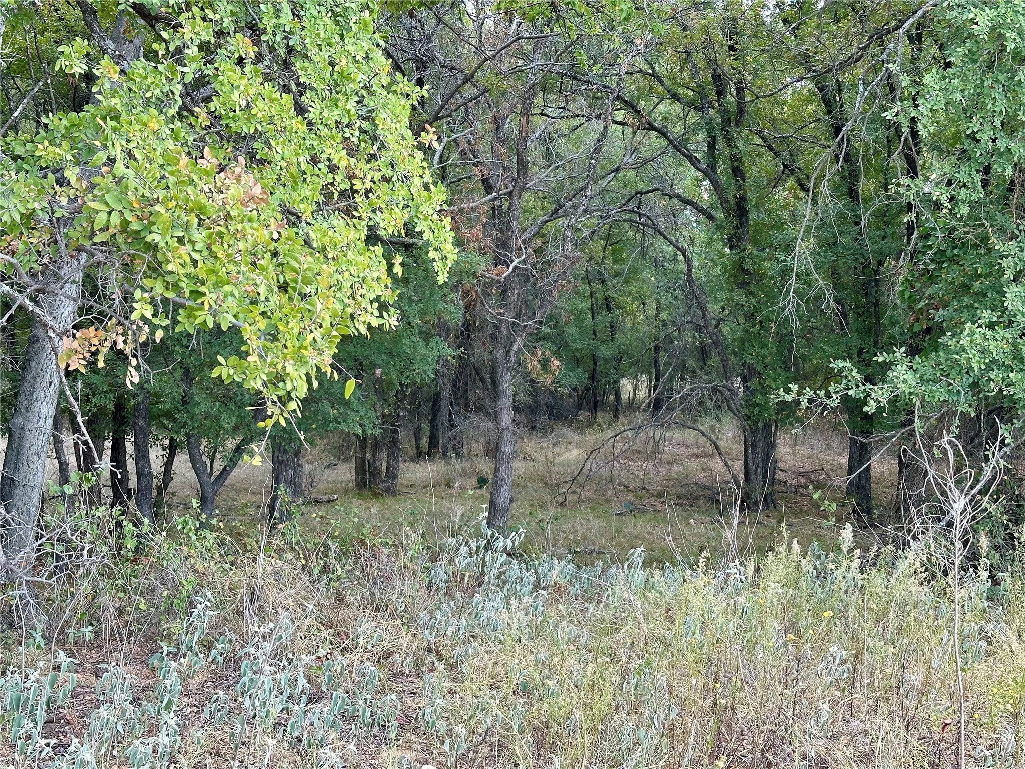 Tbd Cr 323 Hasse TX 76442