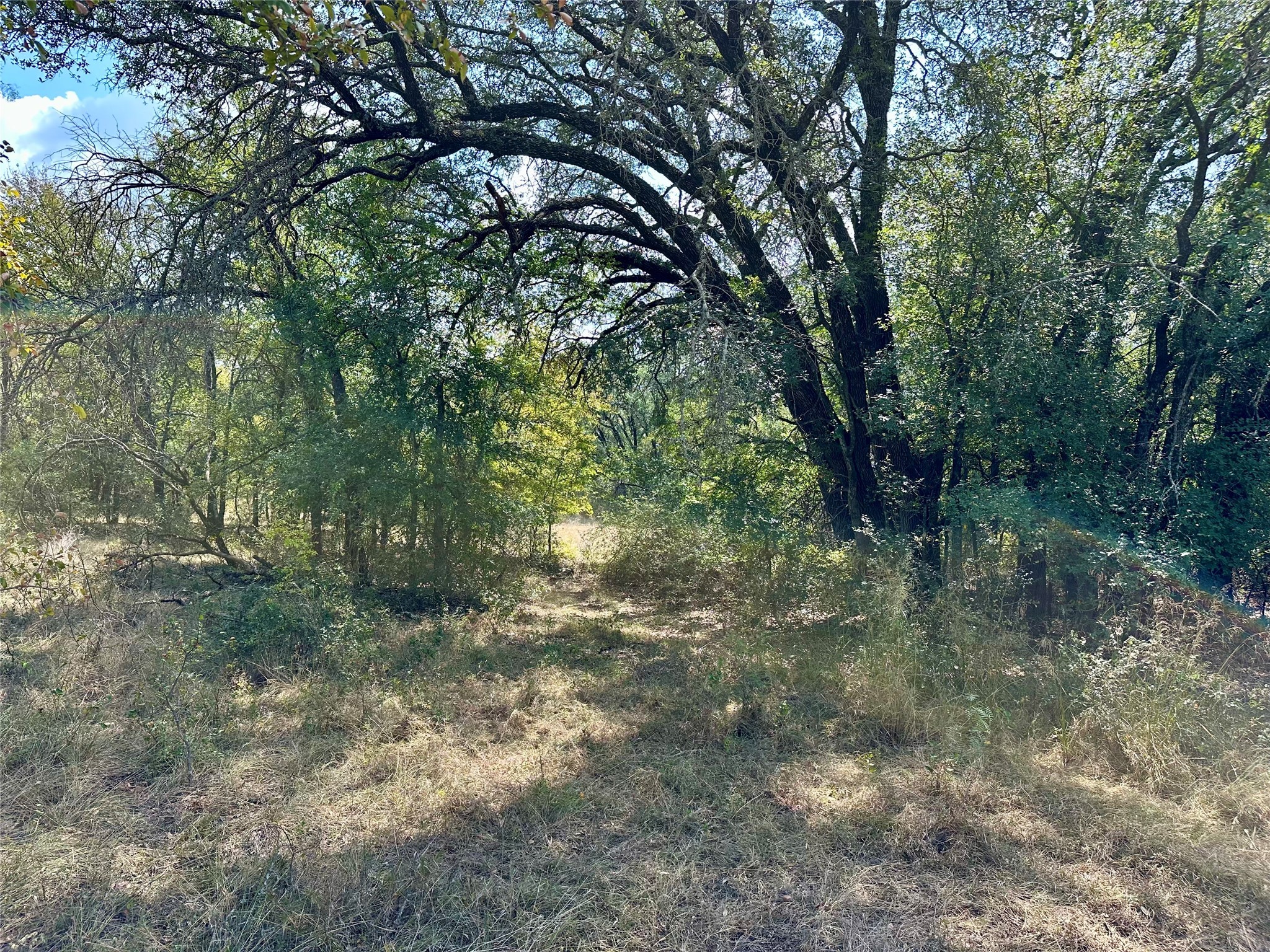 Tbd Cr 323 Hasse TX 76442