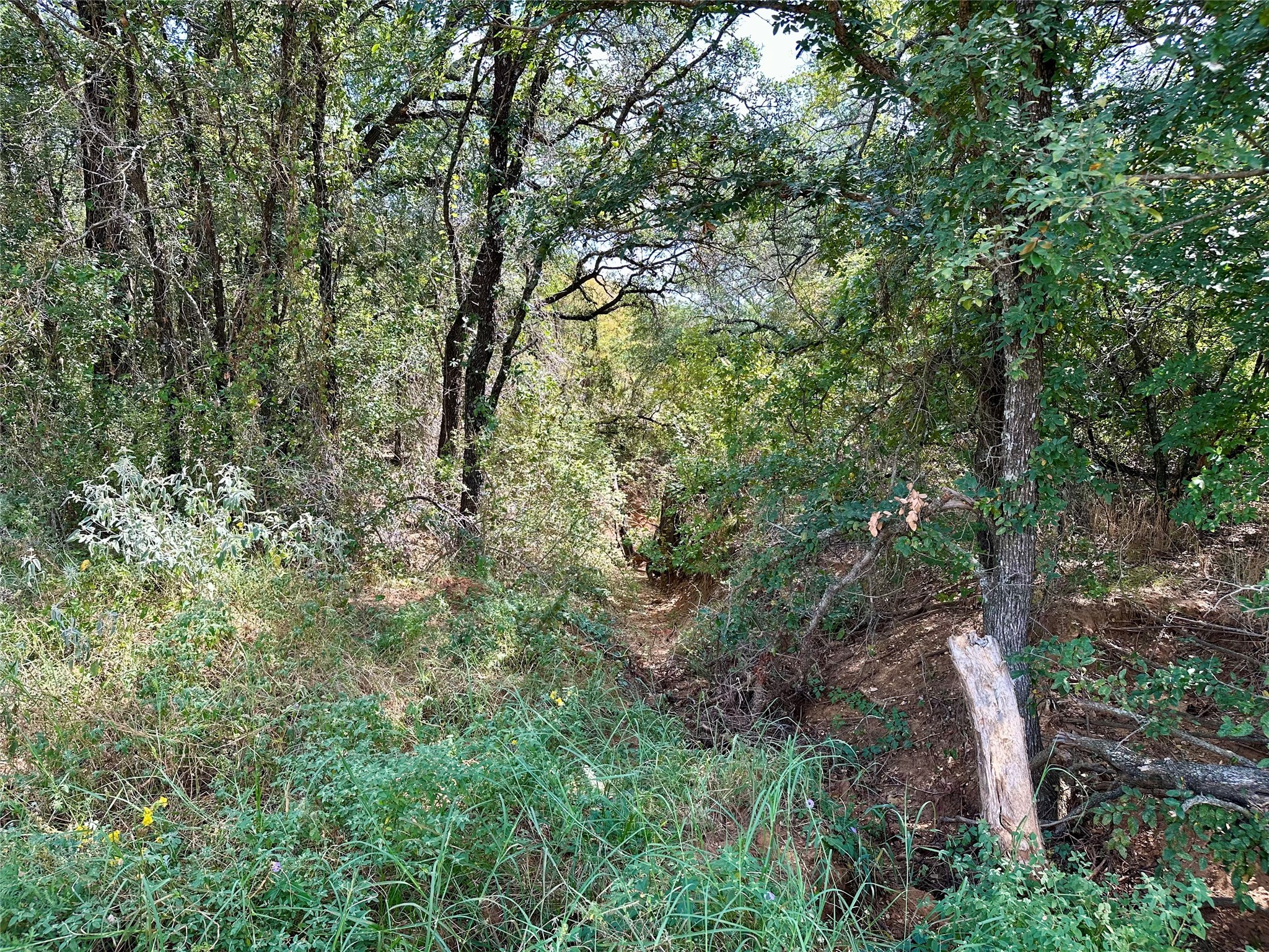 Tbd Cr 323 Hasse TX 76442