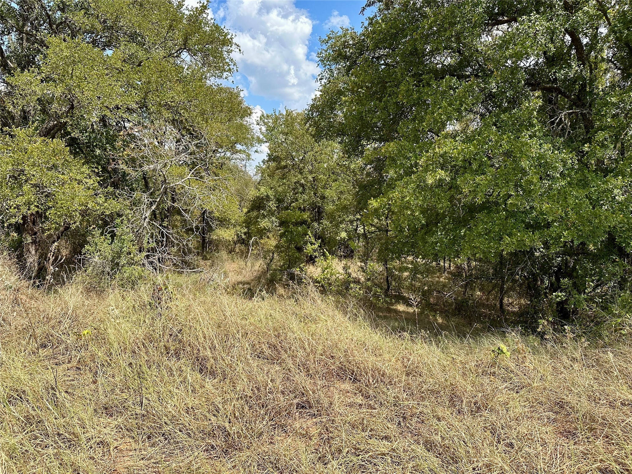 Tbd Cr 323 Hasse TX 76442