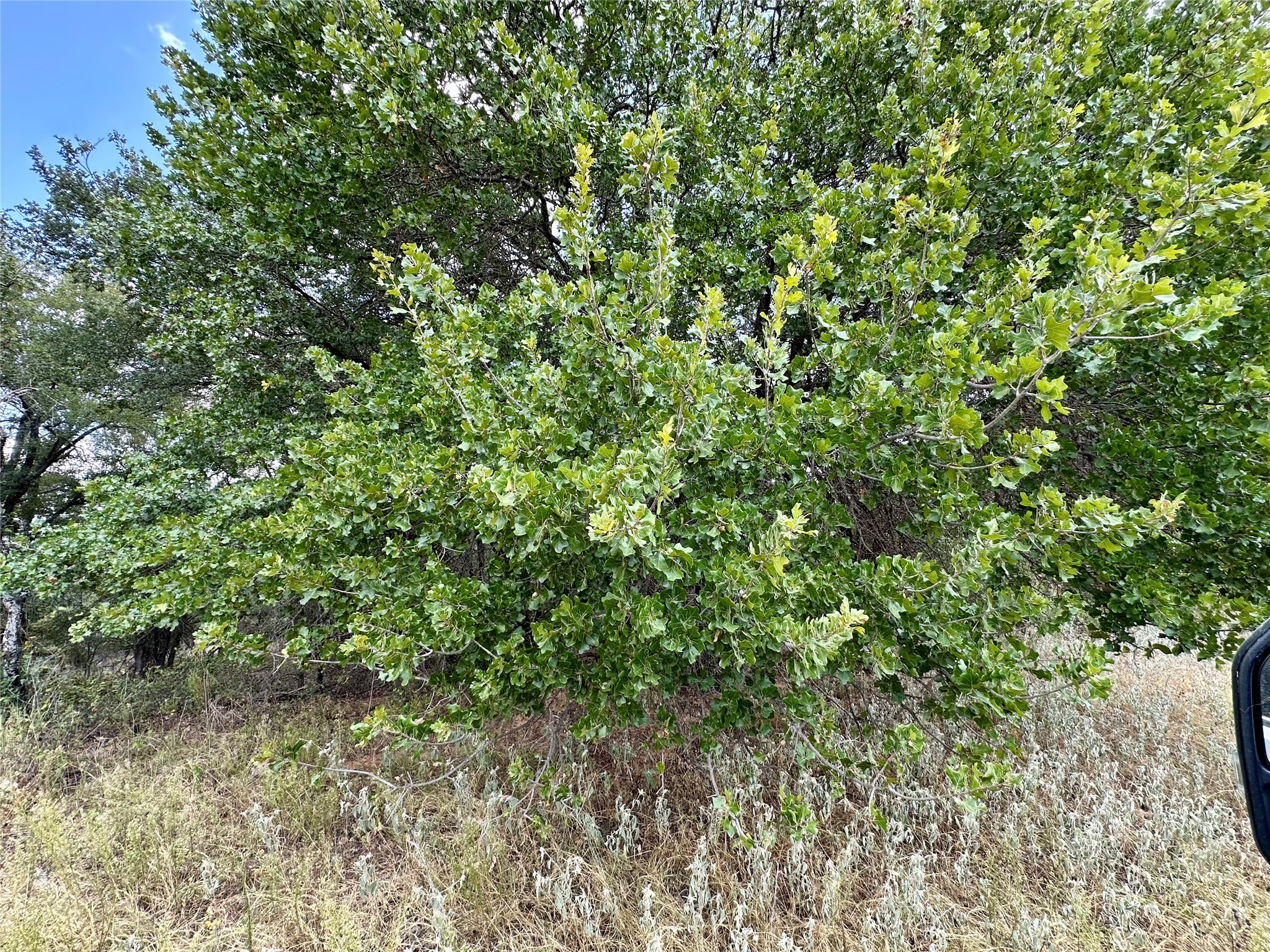 Tbd Cr 323 Hasse TX 76442