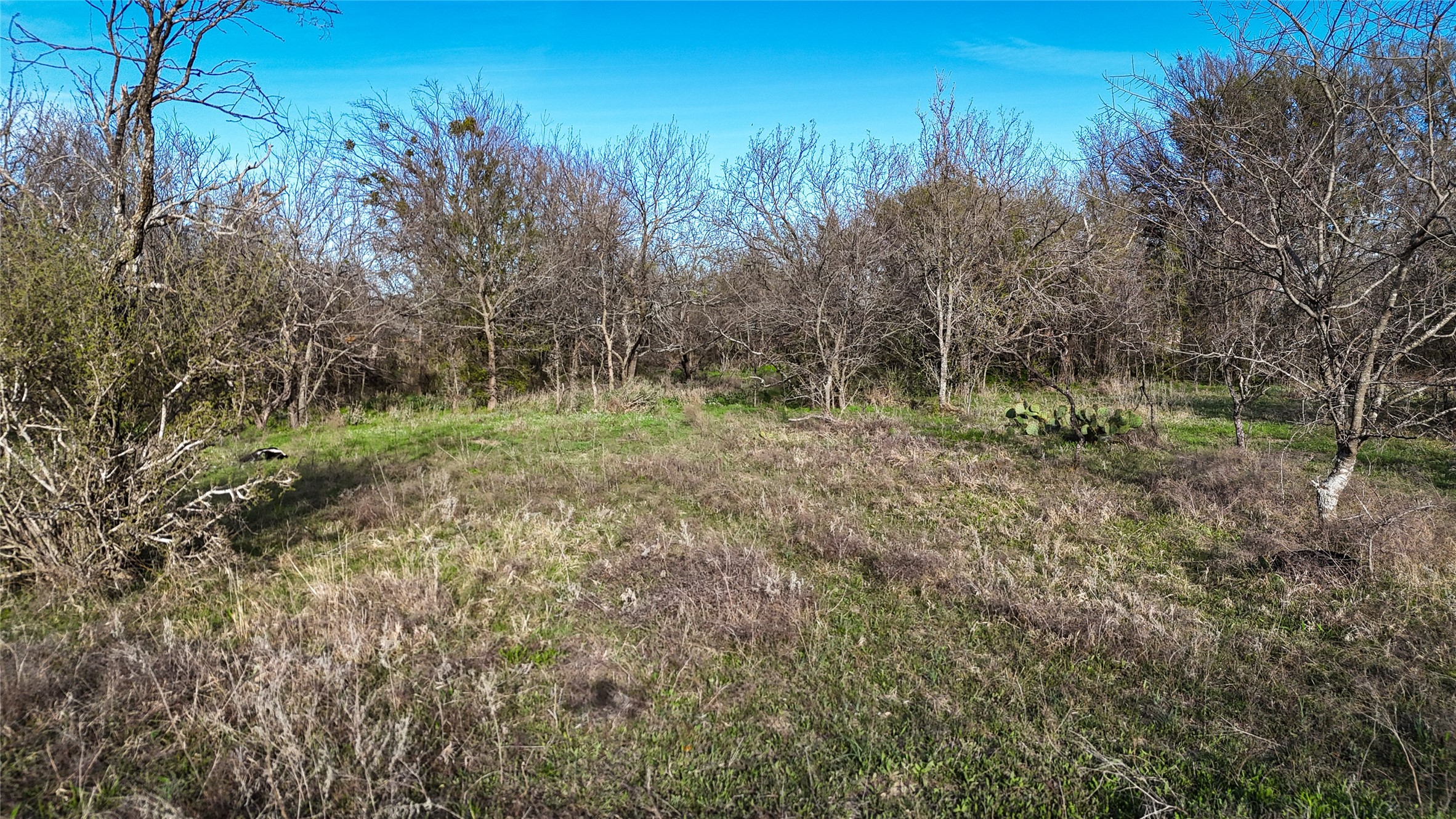 7639 W State Highway 6 Dublin TX 76446