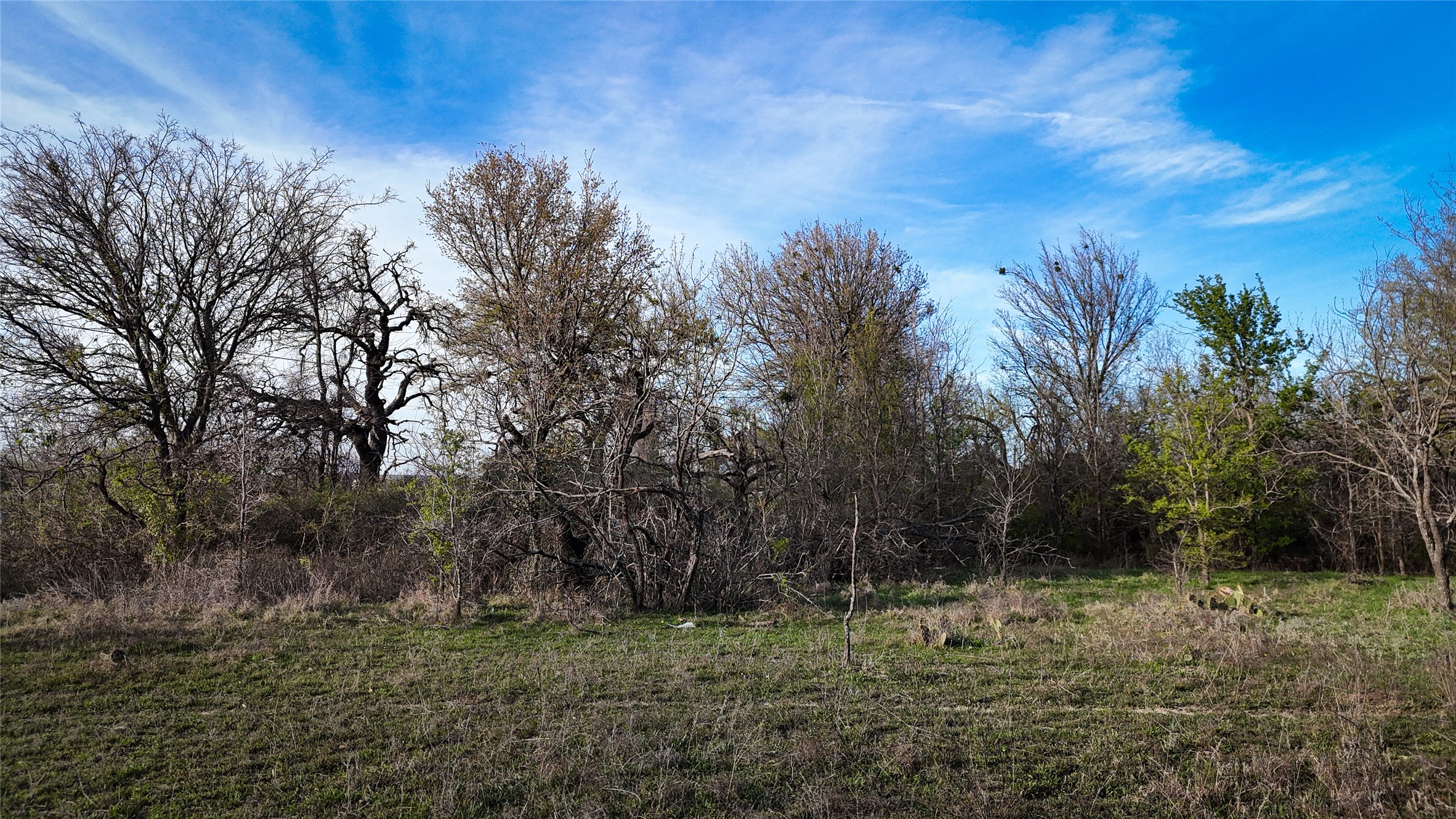 7639 W State Highway 6 Dublin TX 76446
