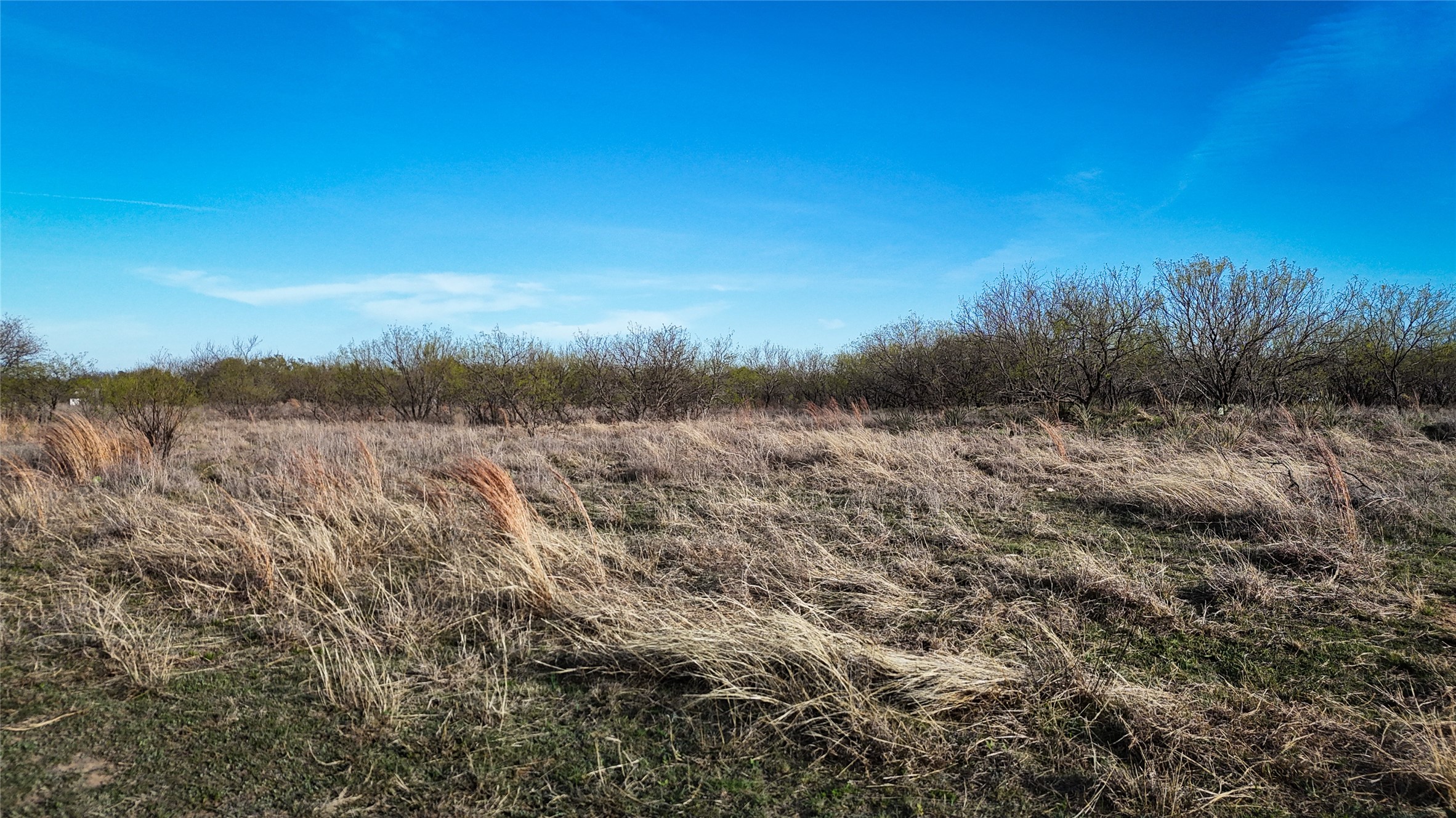 7639 W State Highway 6 Dublin TX 76446