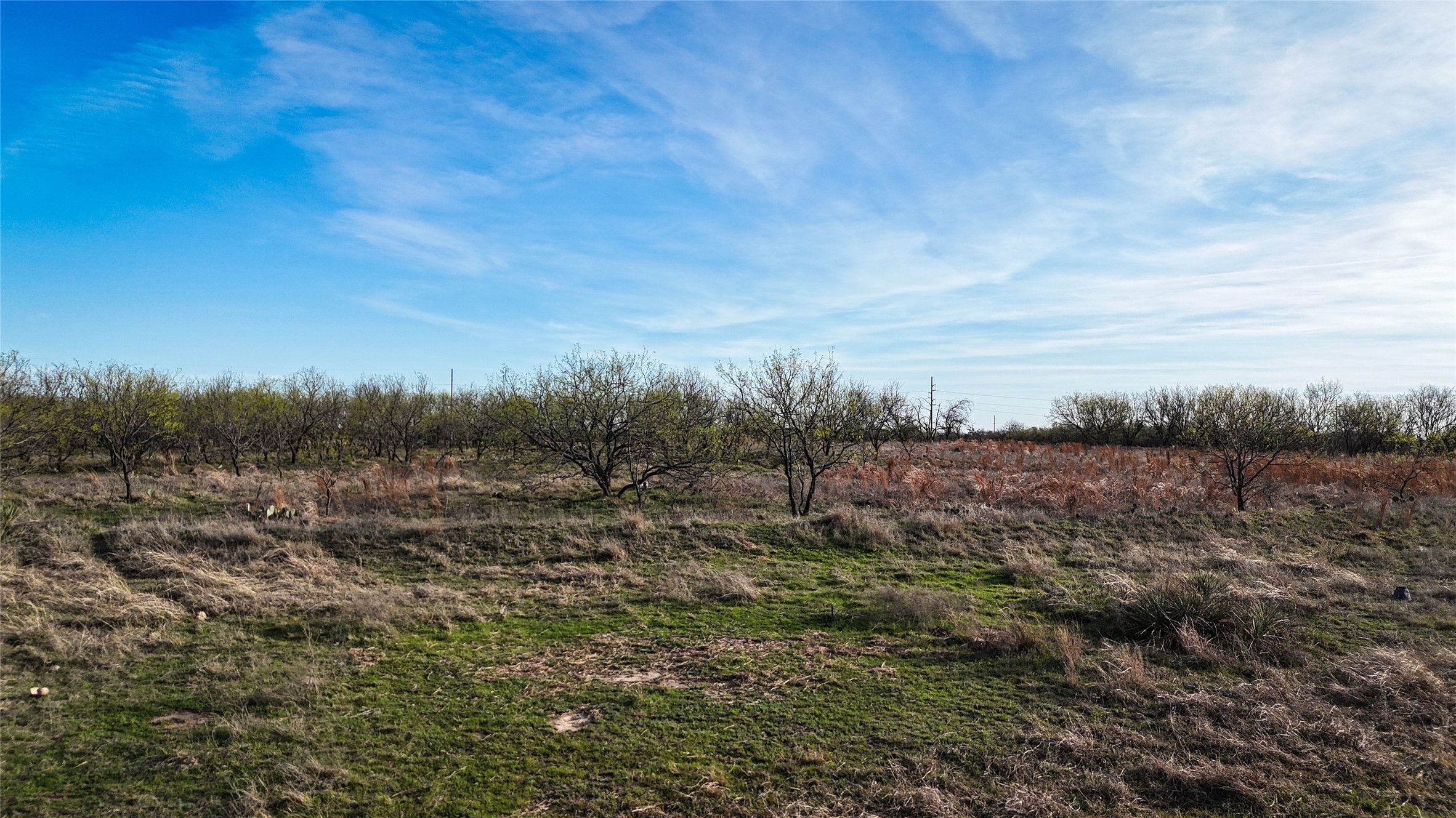 7639 W State Highway 6 Dublin TX 76446