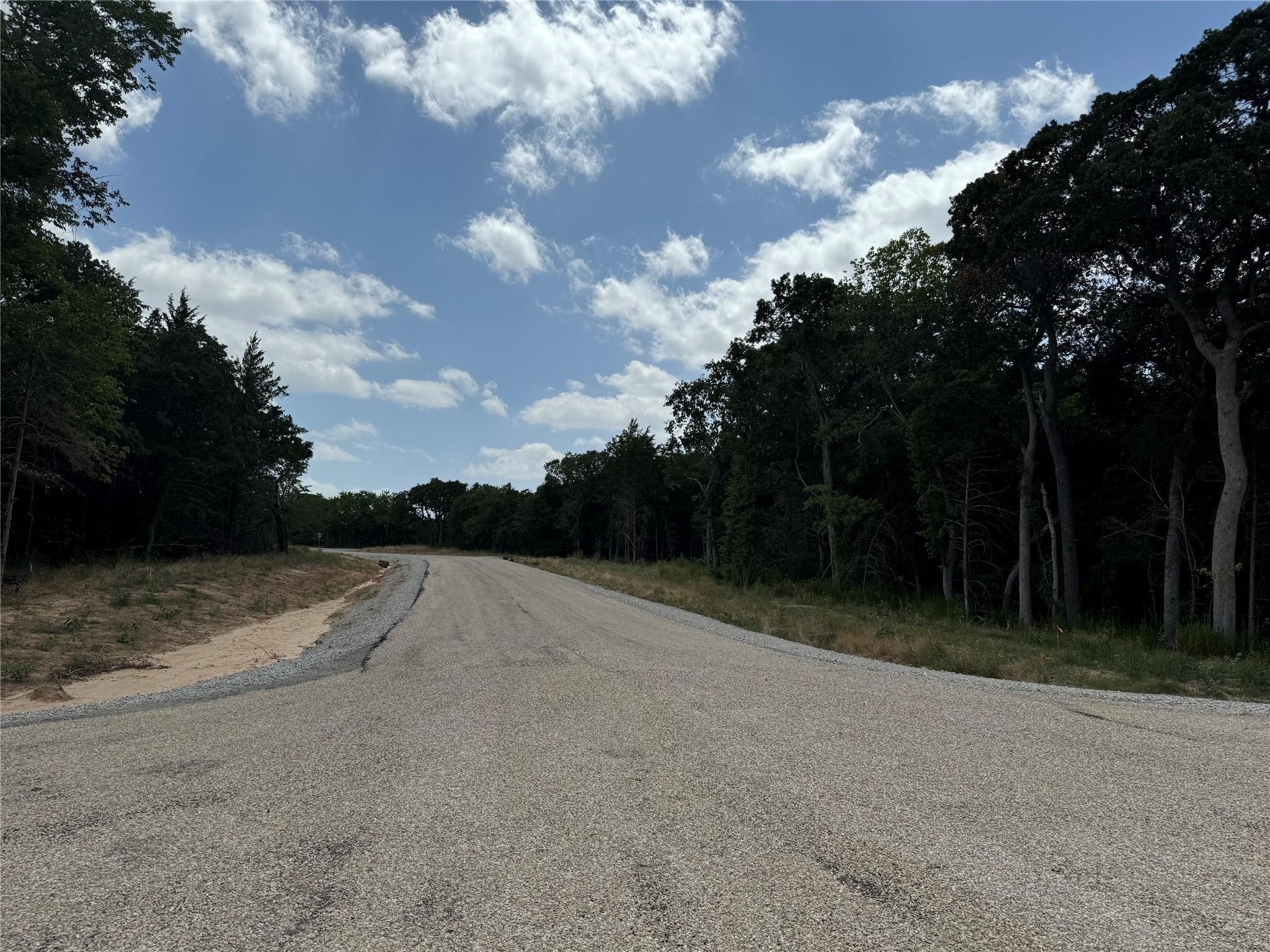 Lot 14 Big Cedar Court Decatur TX 76234