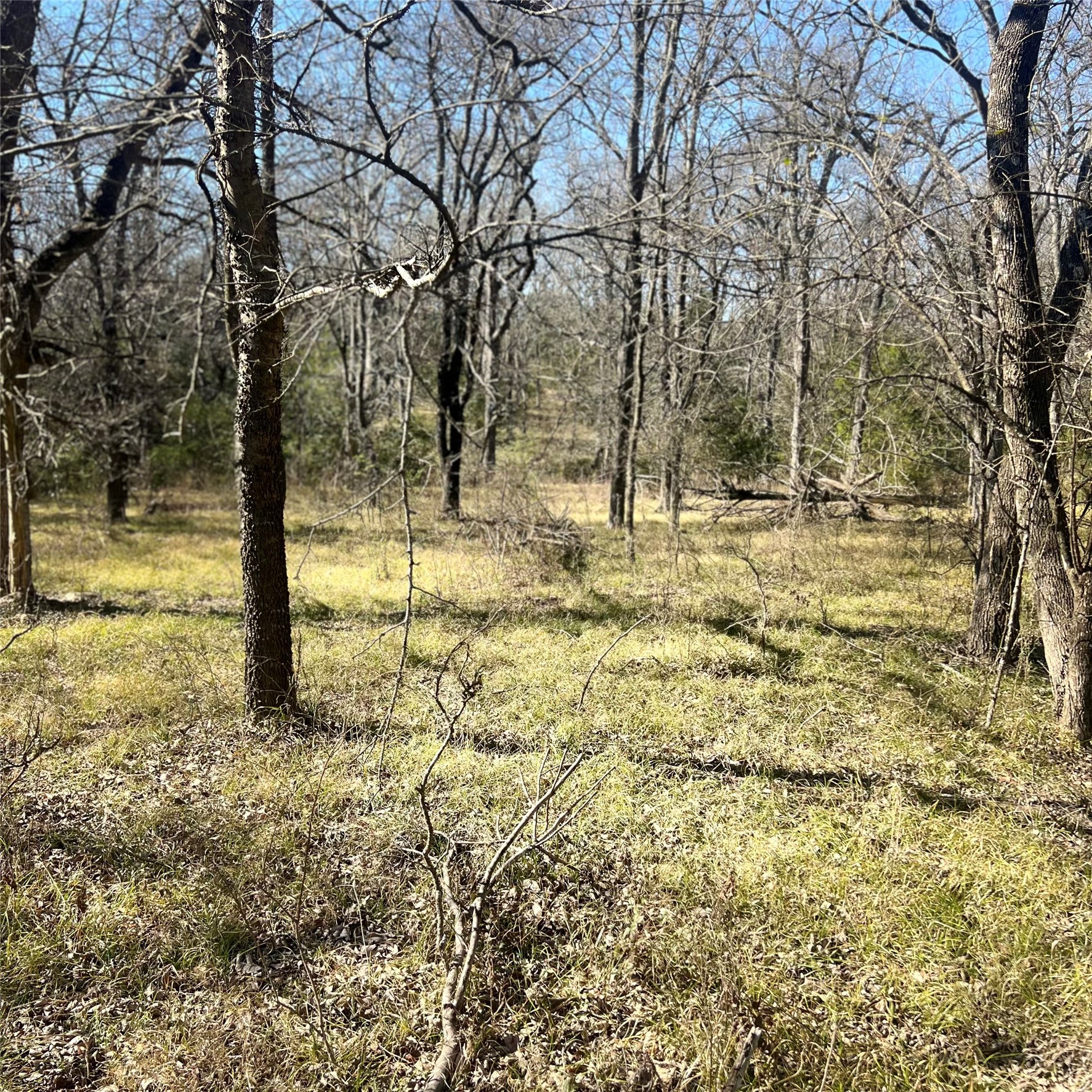Tbd Tx-154 Sulphur Springs TX 75482