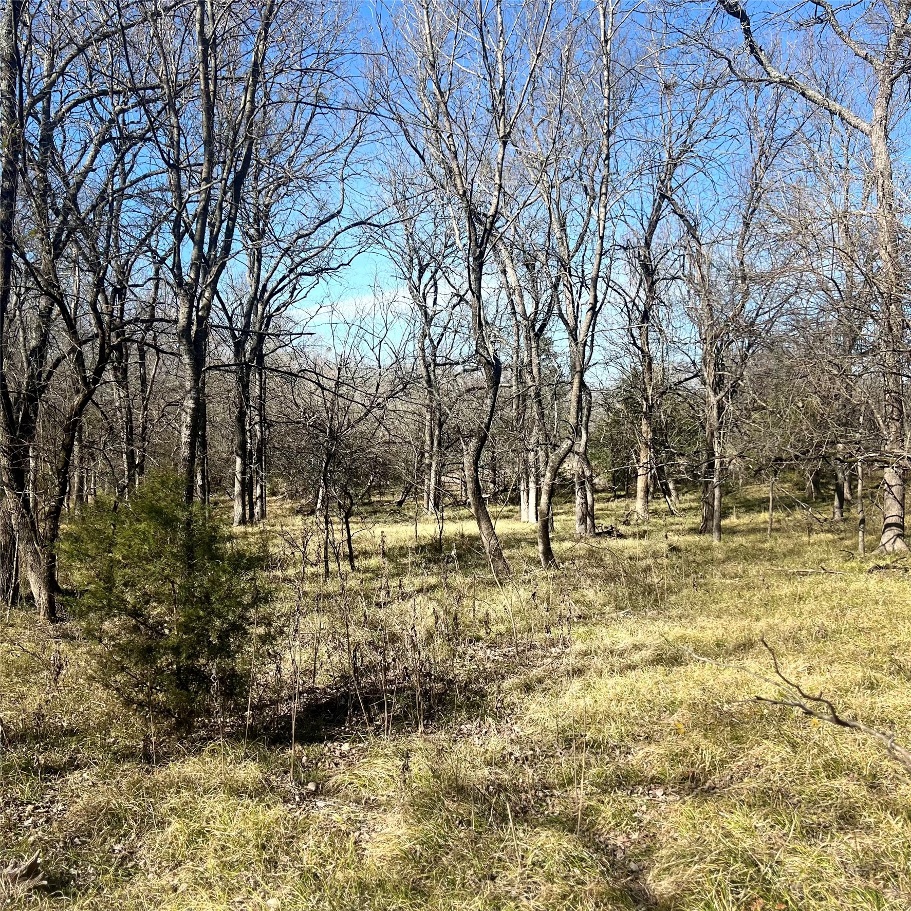 Tbd Tx-154 Sulphur Springs TX 75482