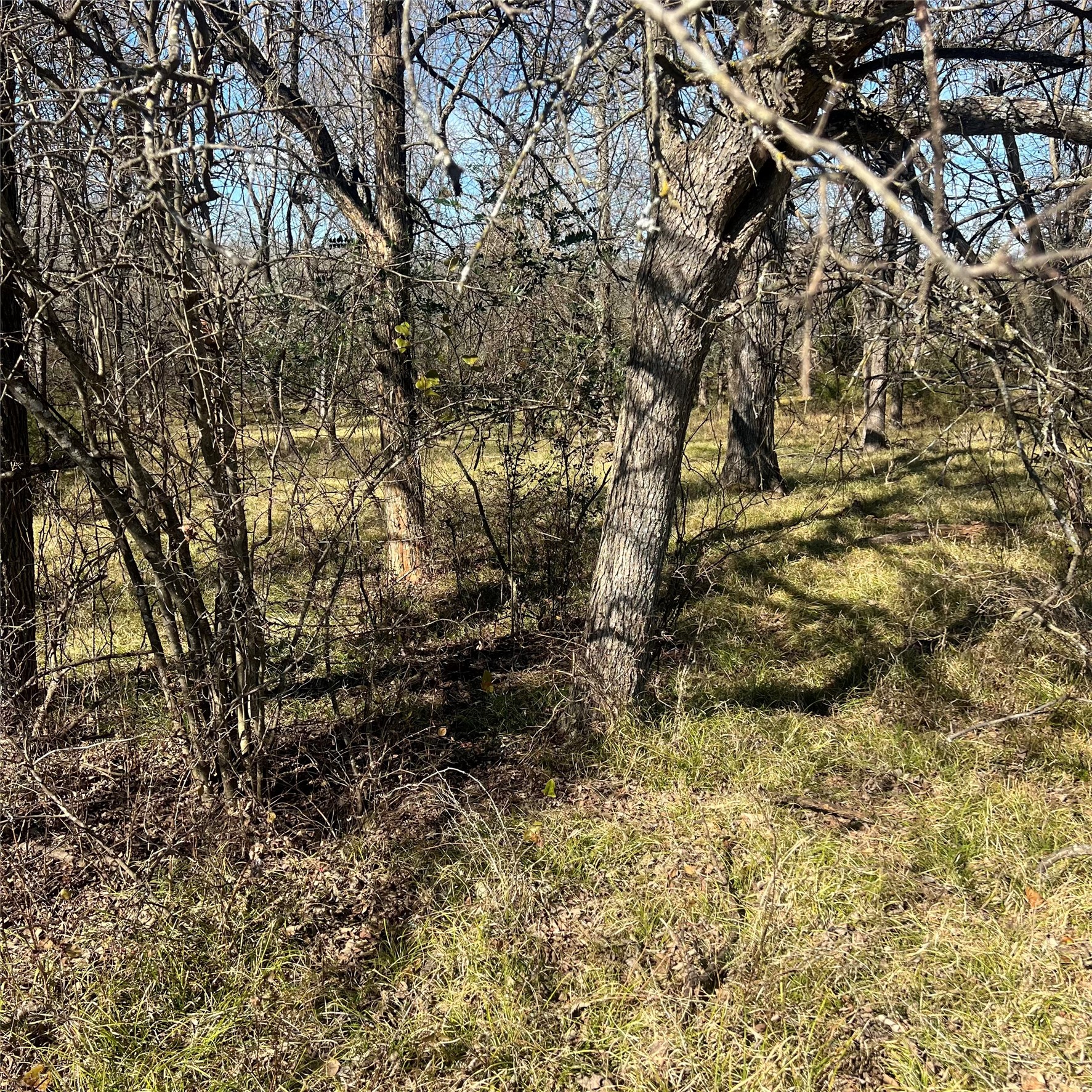 Tbd Tx-154 Sulphur Springs TX 75482