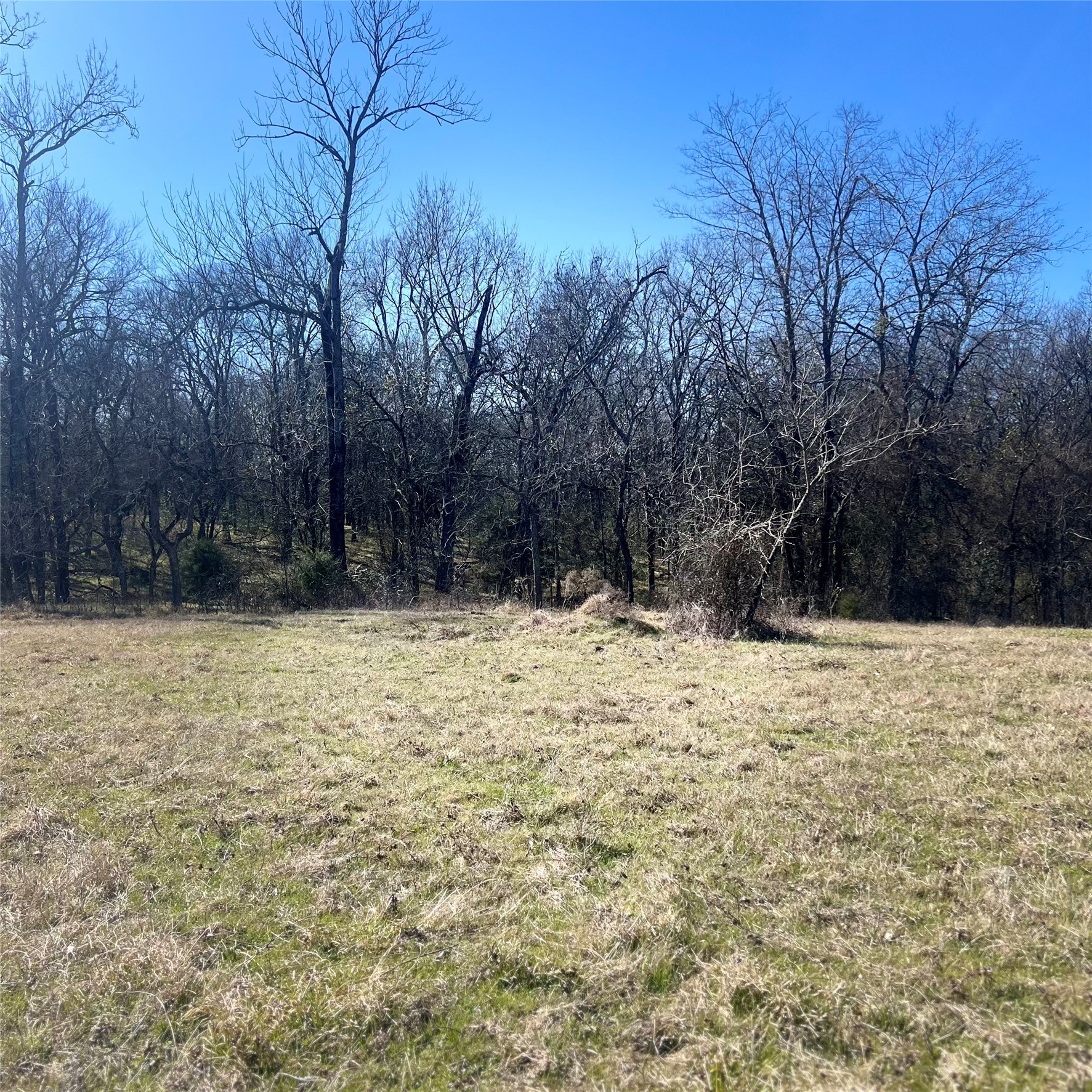 Tbd Tx-154 Sulphur Springs TX 75482