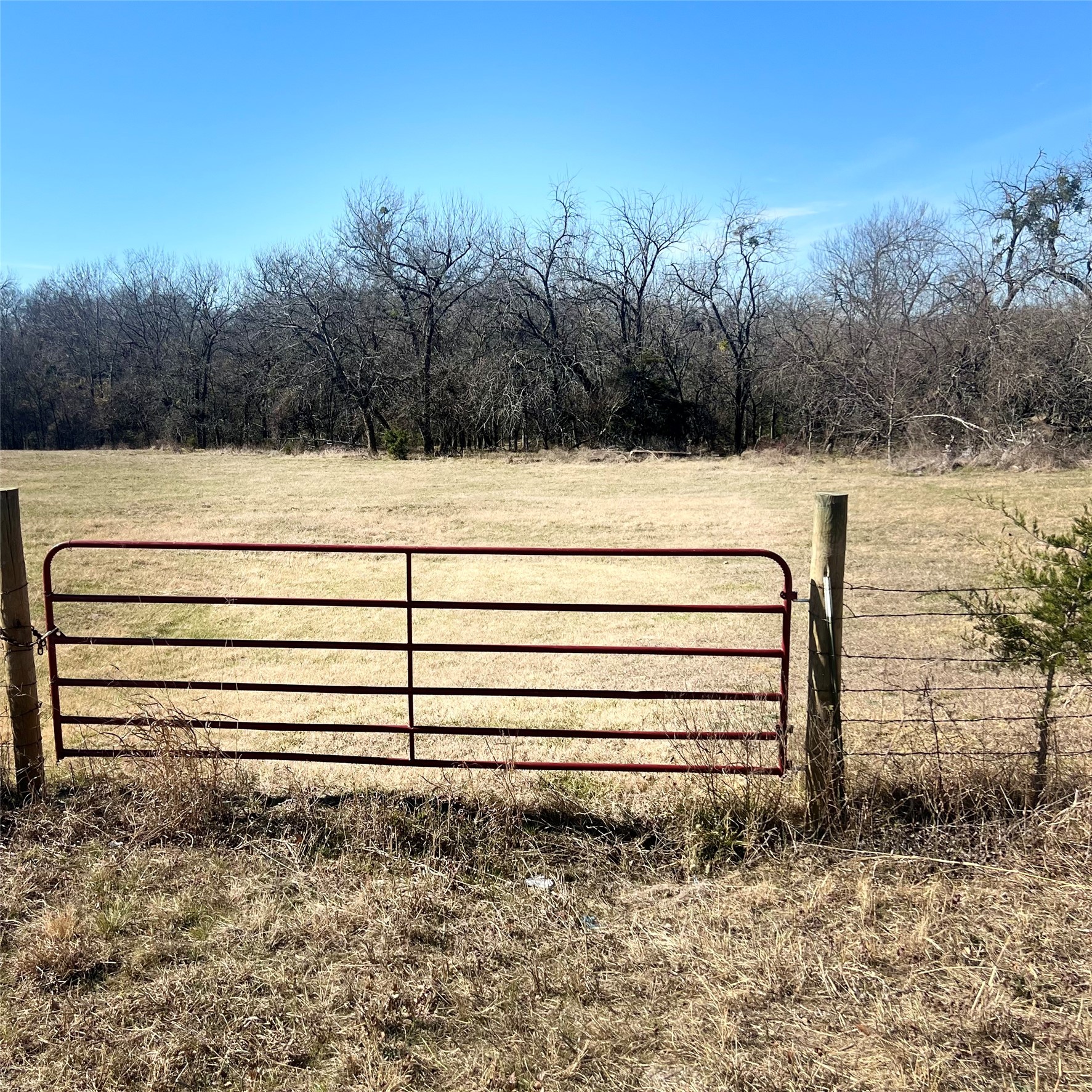 Tbd Tx-154 Sulphur Springs TX 75482
