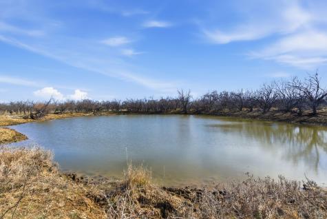 Tract 3 Fm 880 Moran TX 76464