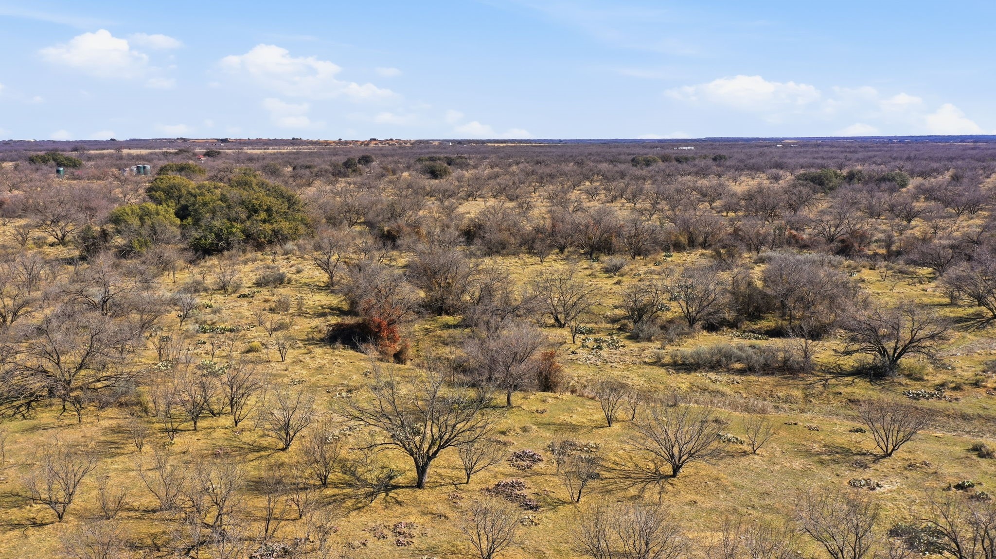 Tract 3 Fm 880 Moran TX 76464