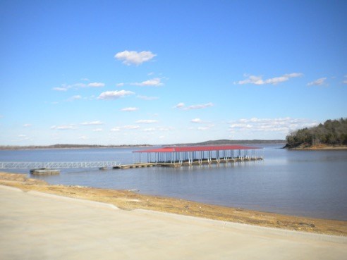 Lot 56 Dublin Circle Gordonville TX 76245