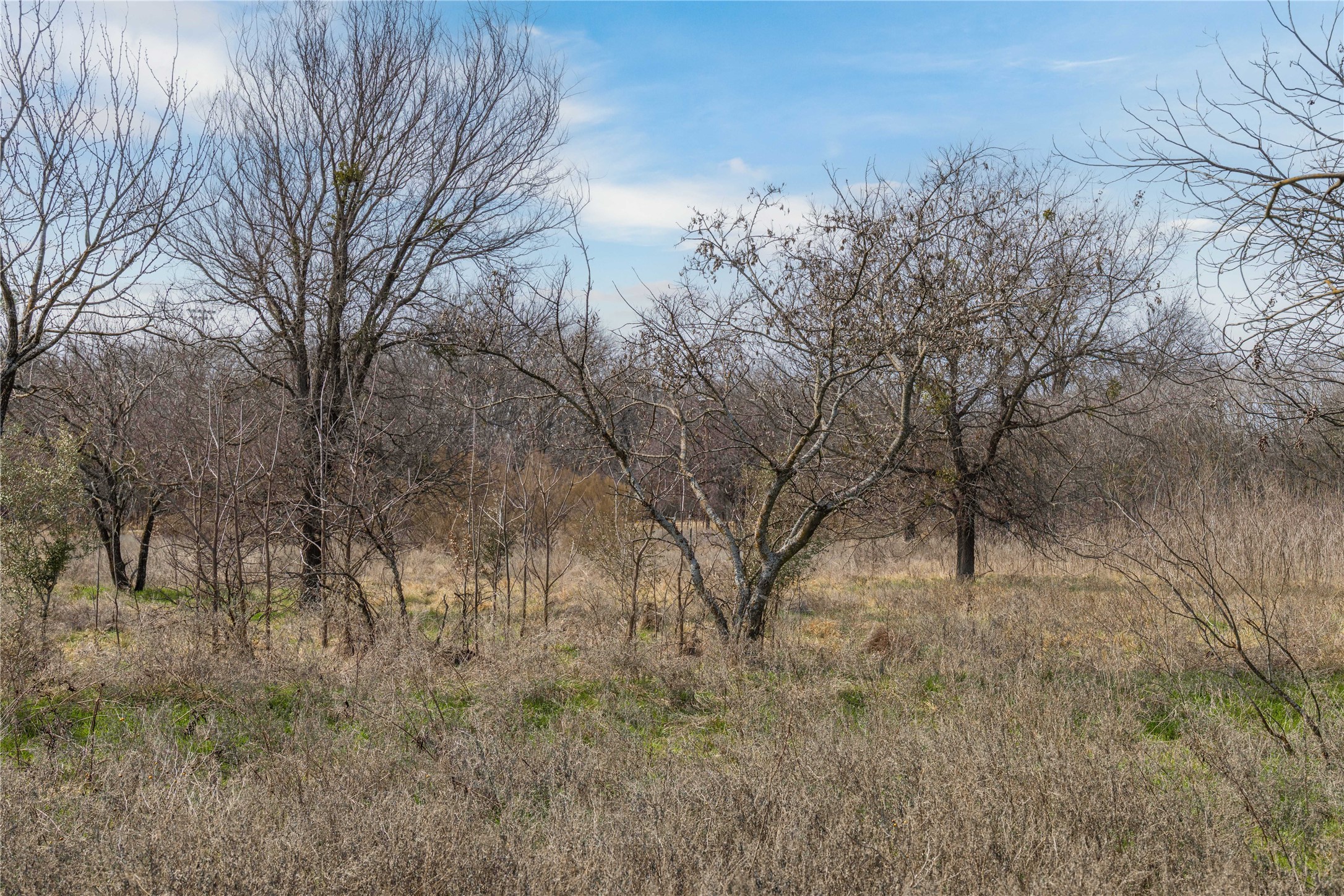 440 N Cato Street De Leon TX 76444