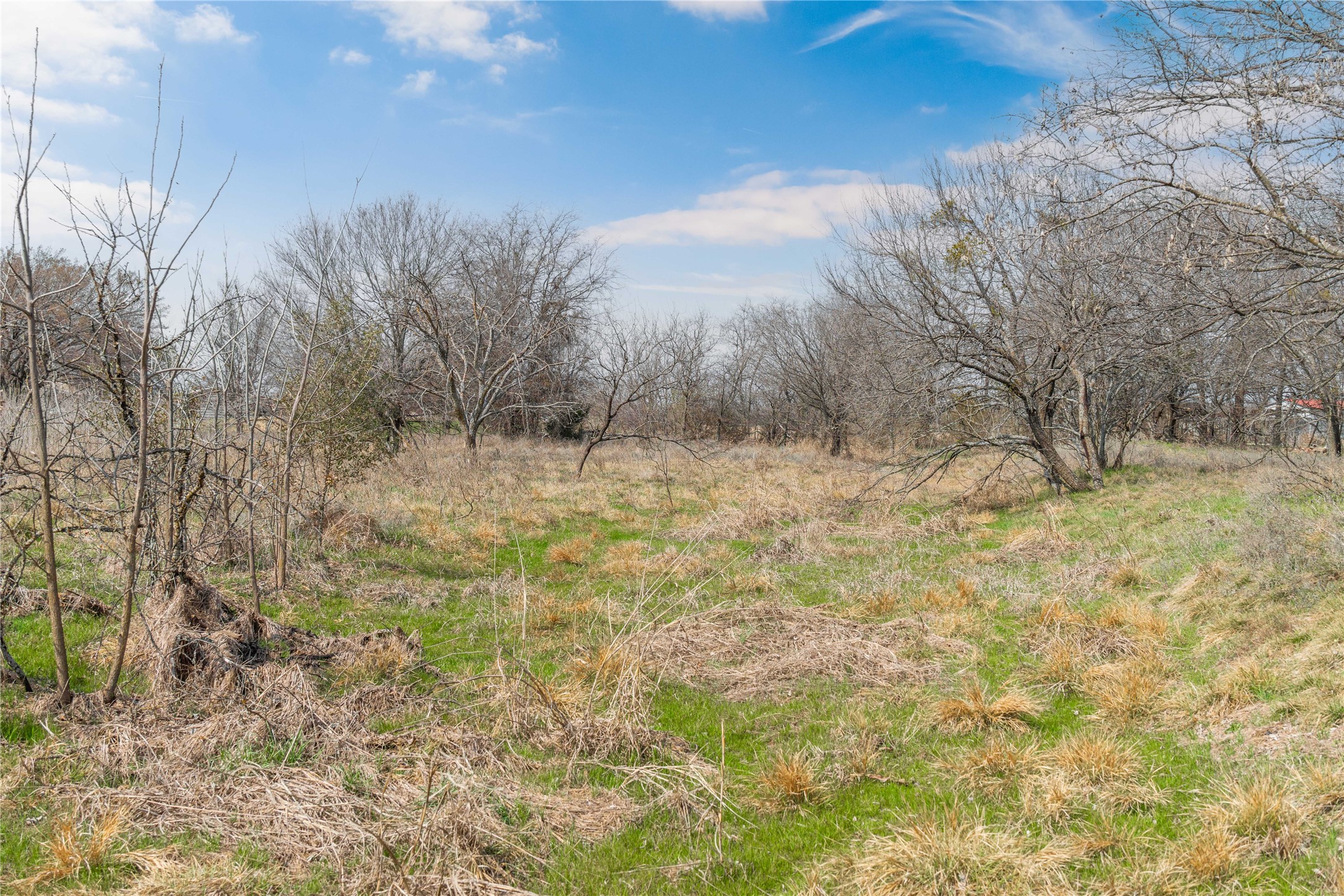 440 N Cato Street De Leon TX 76444